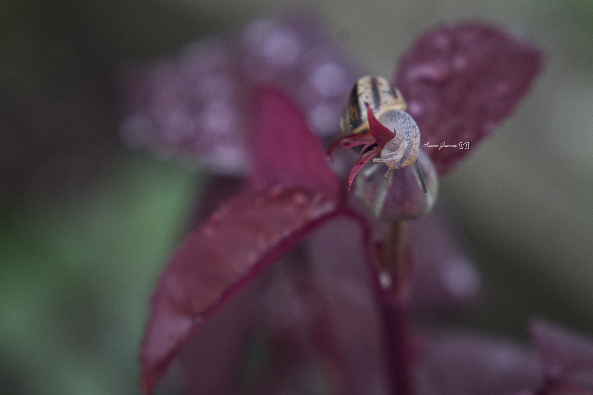 Canon EF 24-105mm F3.5-5.6 IS STM sample photo. When art meets sciences photography