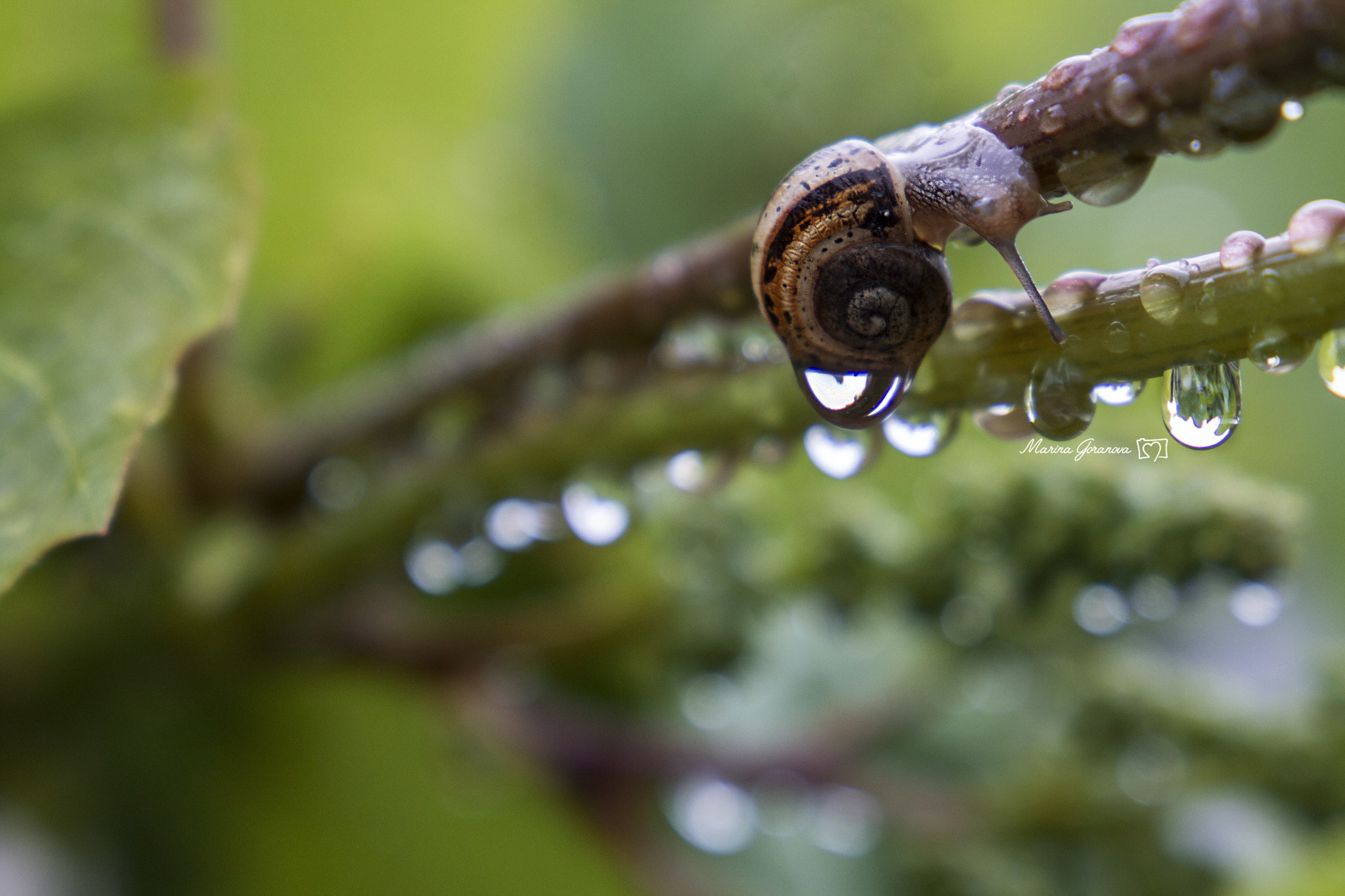 Canon EF 24-105mm F3.5-5.6 IS STM sample photo. When art meets sciences photography