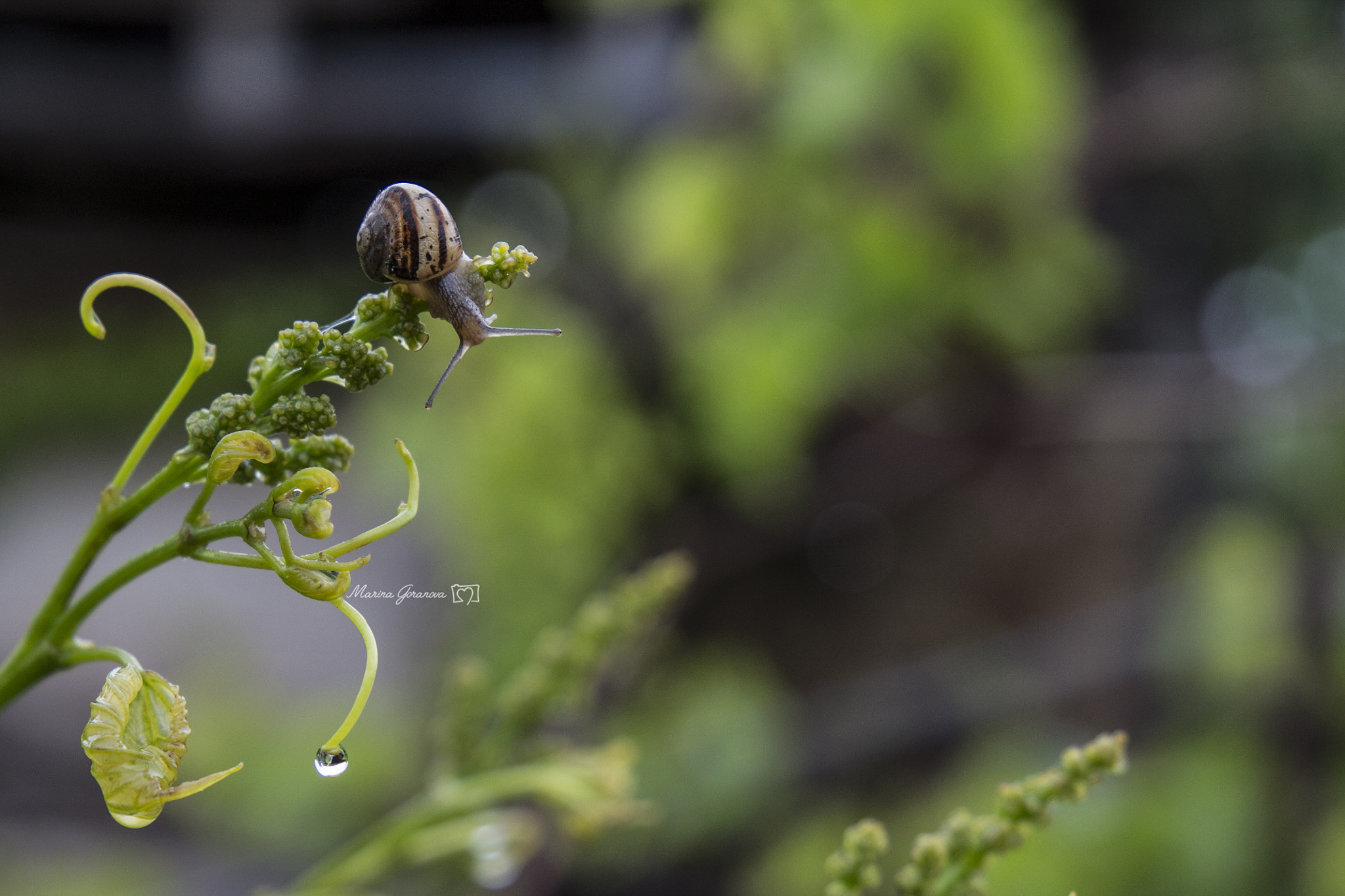 Canon EF 24-105mm F3.5-5.6 IS STM sample photo. When art meets sciences photography