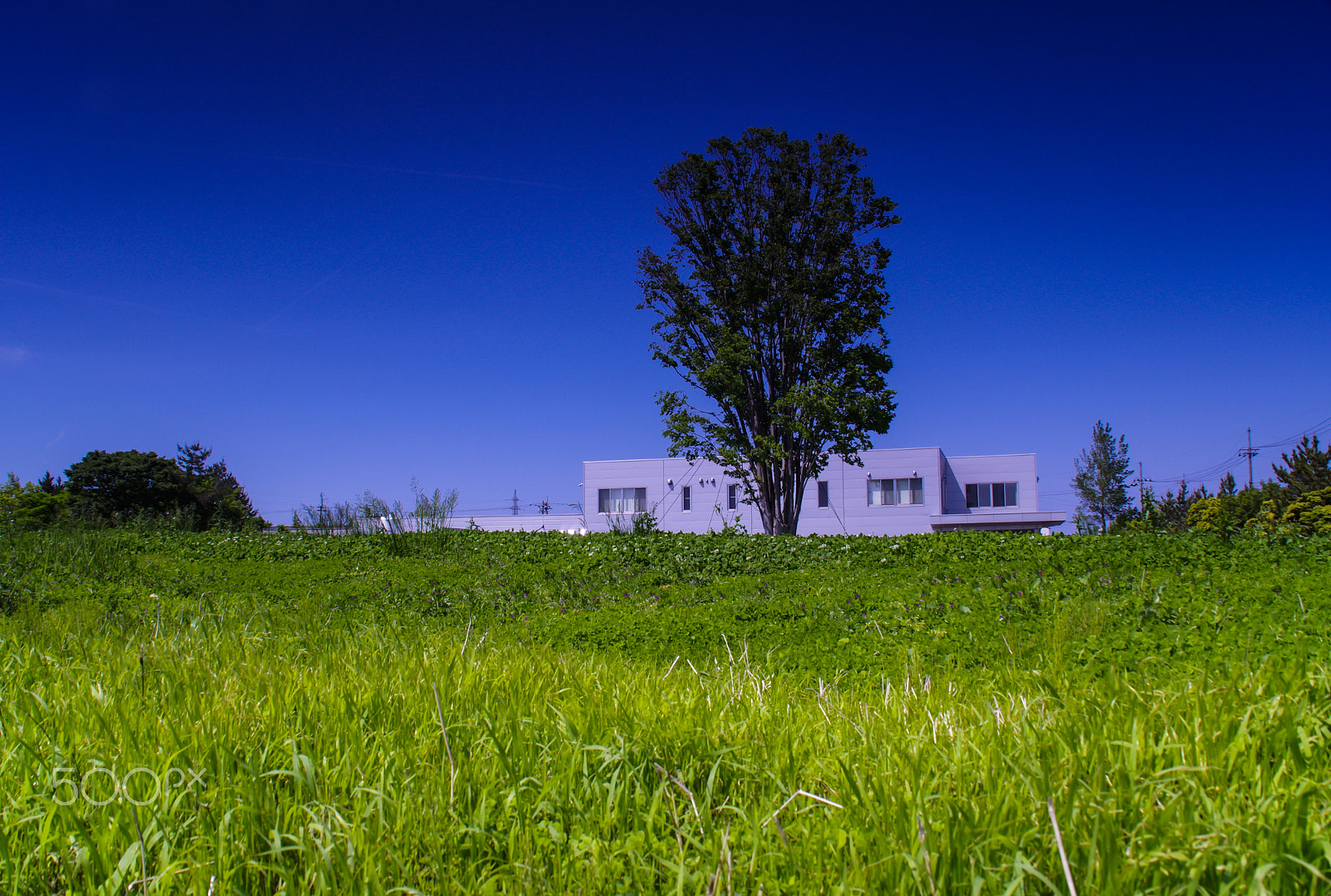 Tamron AF 18-200mm F3.5-6.3 XR Di II LD Aspherical (IF) Macro sample photo. "越後ブルー"echigo blue photography