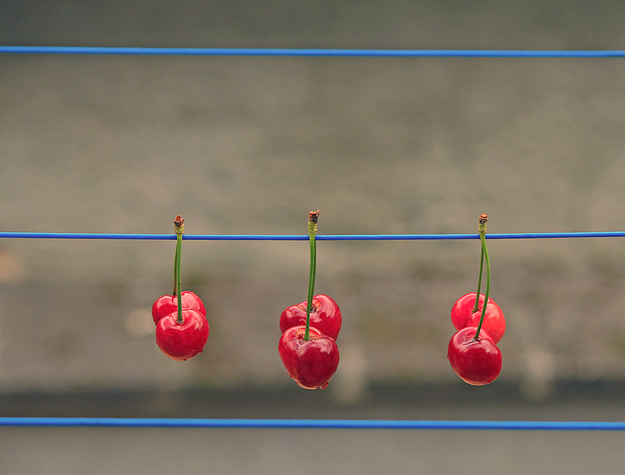 Canon EOS 500D (EOS Rebel T1i / EOS Kiss X3) sample photo. Cherries photography