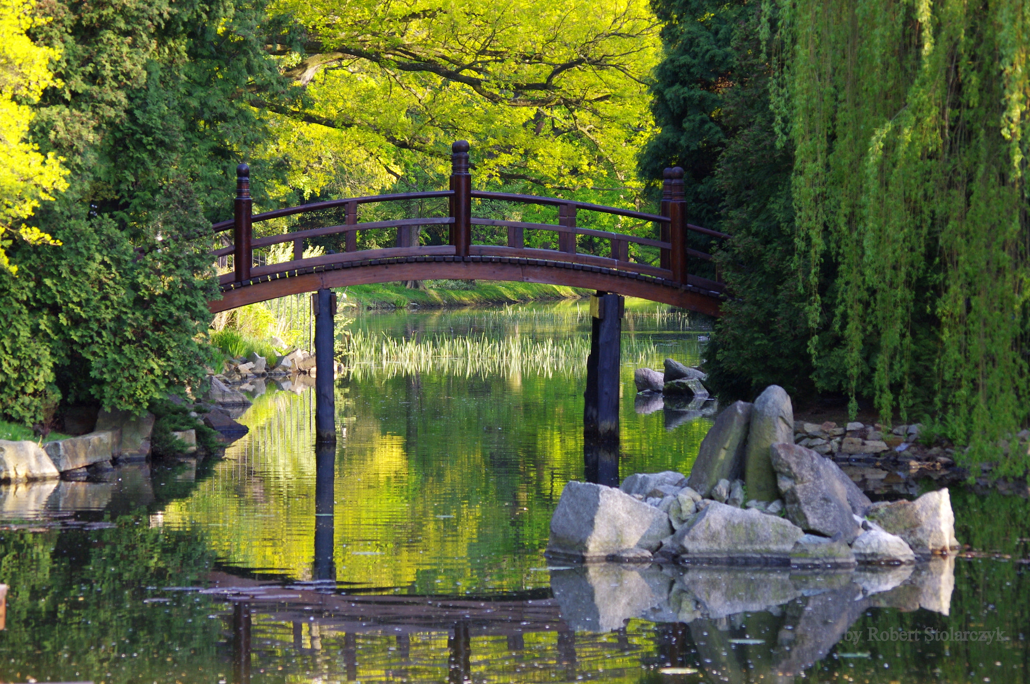 smc PENTAX-DA L 50-200mm F4-5.6 ED sample photo. The subject for monsieur claude monet photography