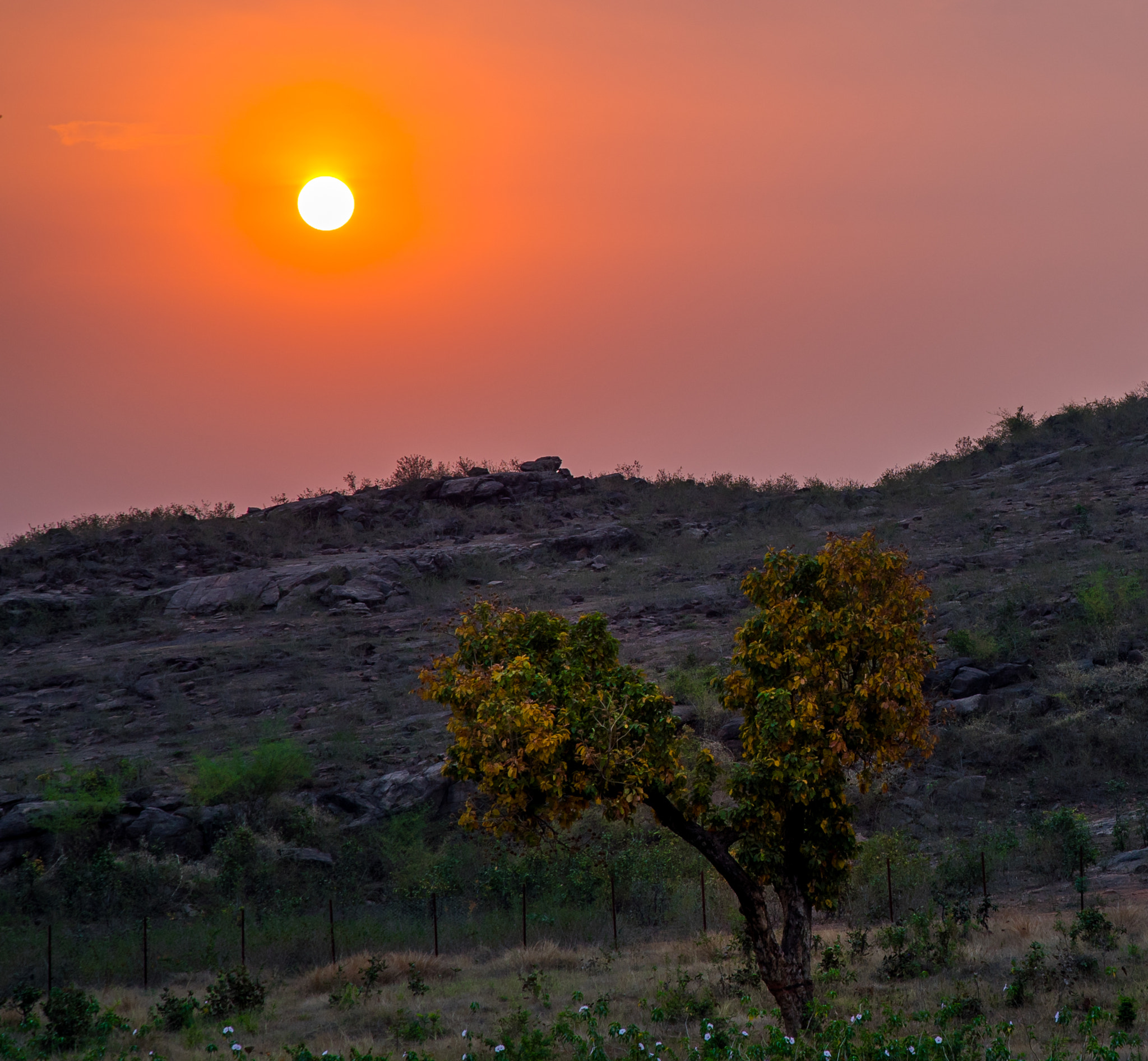 Sony a7S + Canon EF 24-105mm F4L IS USM sample photo. Sunset at the mountain photography