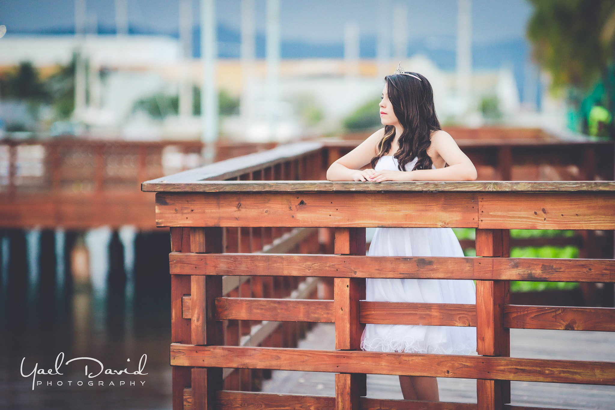 Sony 70-200mm F2.8 G SSM II sample photo. Mis quince photography