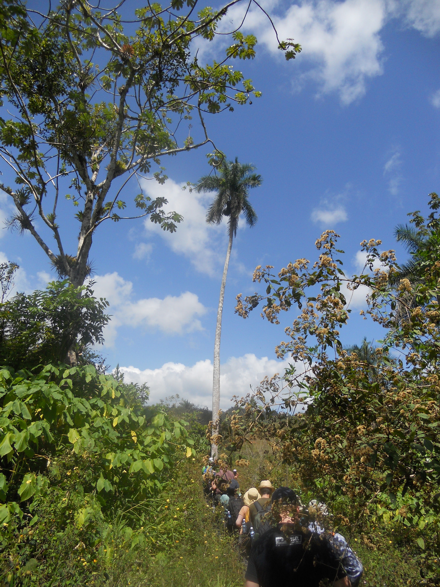 Nikon COOLPIX S2550 sample photo. Trekking through the cuba photography