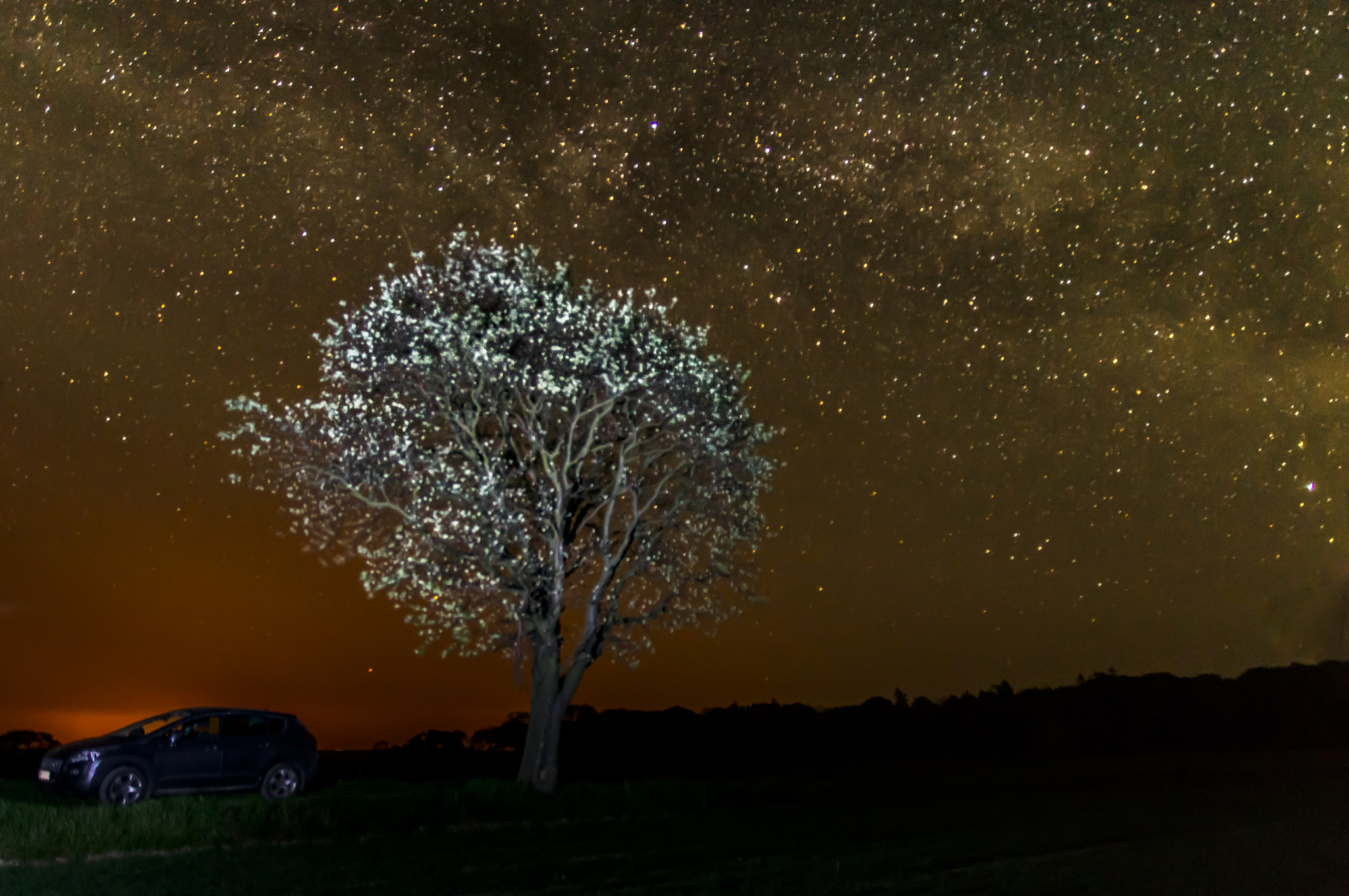 Sigma 17-70mm F2.8-4 DC Macro HSM sample photo. The car, the tree and the milky way ii photography