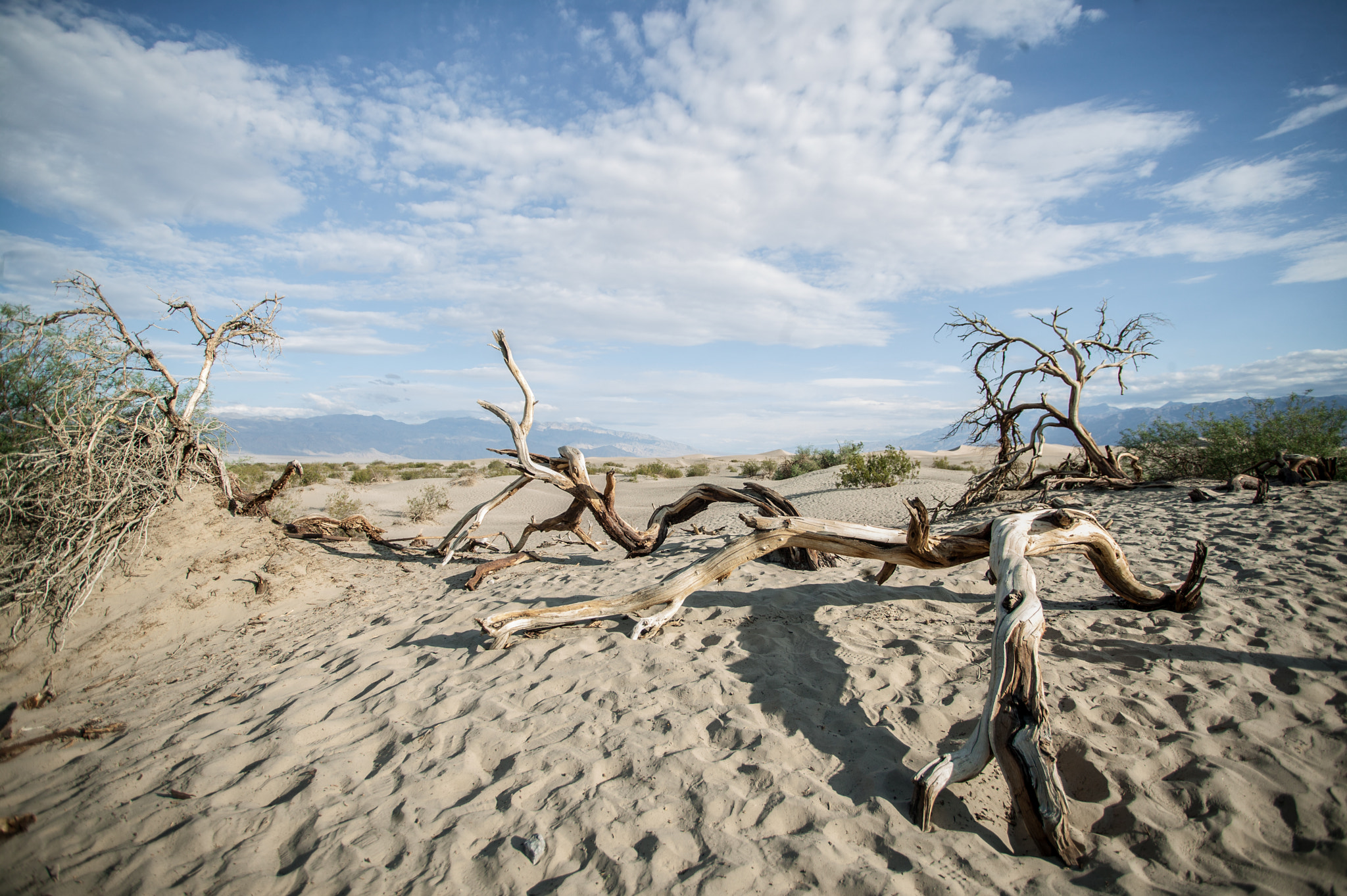 Canon EOS-1Ds + Canon EF 17-40mm F4L USM sample photo. Death valley, u.s.a. photography