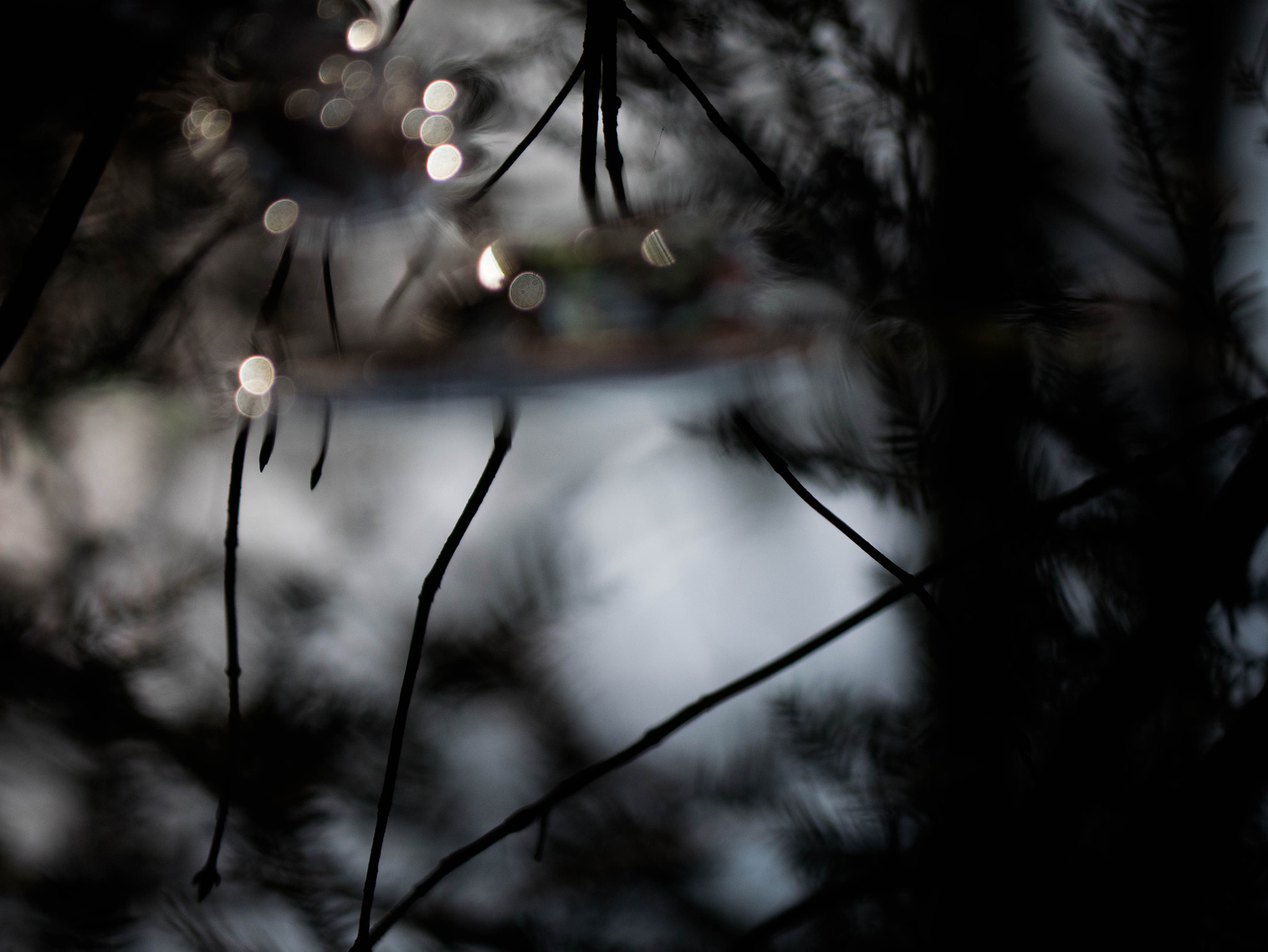 Panasonic Lumix G Vario 45-200mm F4-5.6 OIS sample photo. Dreaming photography
