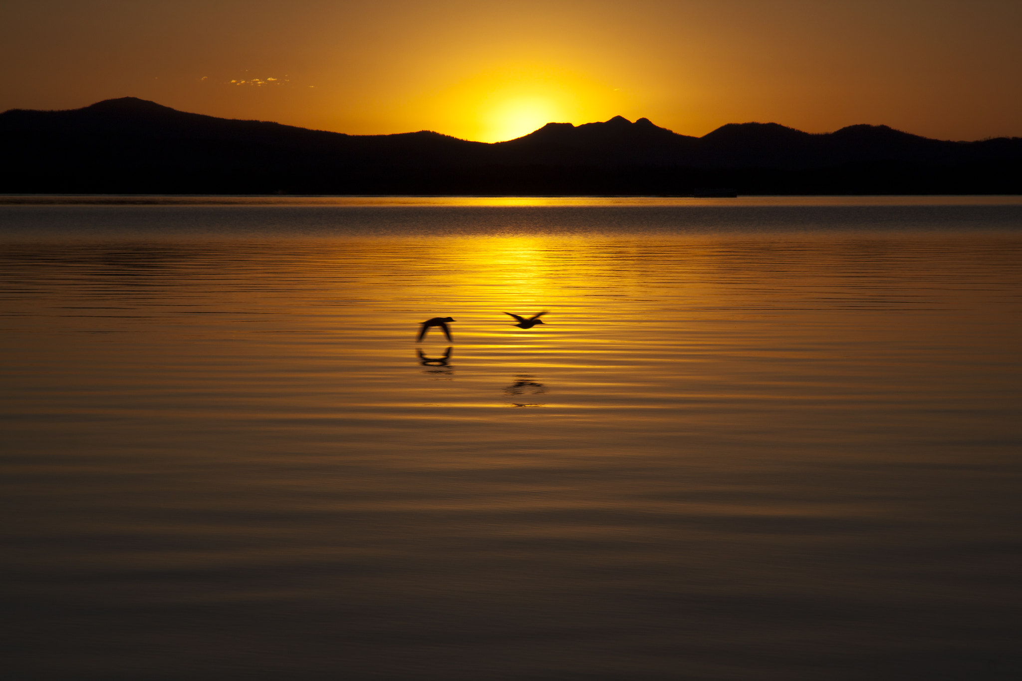 Canon EOS 500D (EOS Rebel T1i / EOS Kiss X3) sample photo. Sunrise, yellowstone lake photography