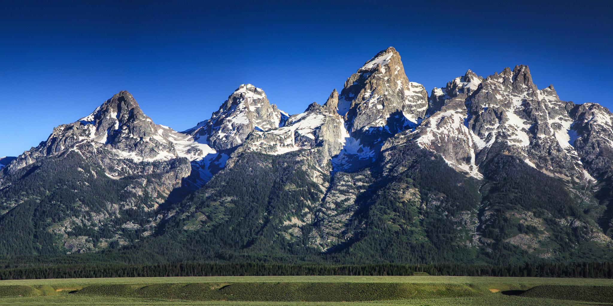 Canon EOS 500D (EOS Rebel T1i / EOS Kiss X3) sample photo. Tetons view photography
