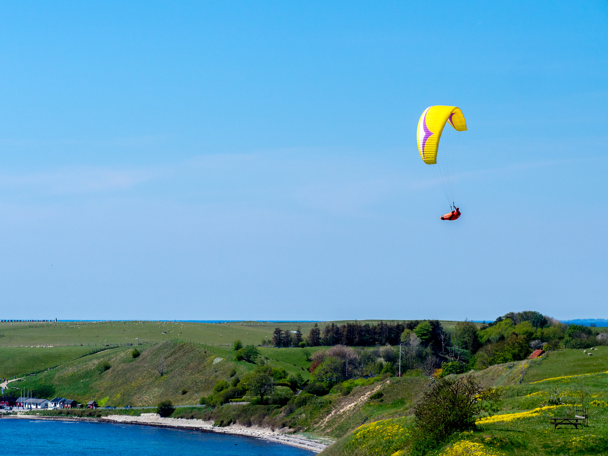 Olympus OM-D E-M5 + Olympus M.Zuiko Digital ED 75mm F1.8 sample photo. Soaring over kåseberga photography