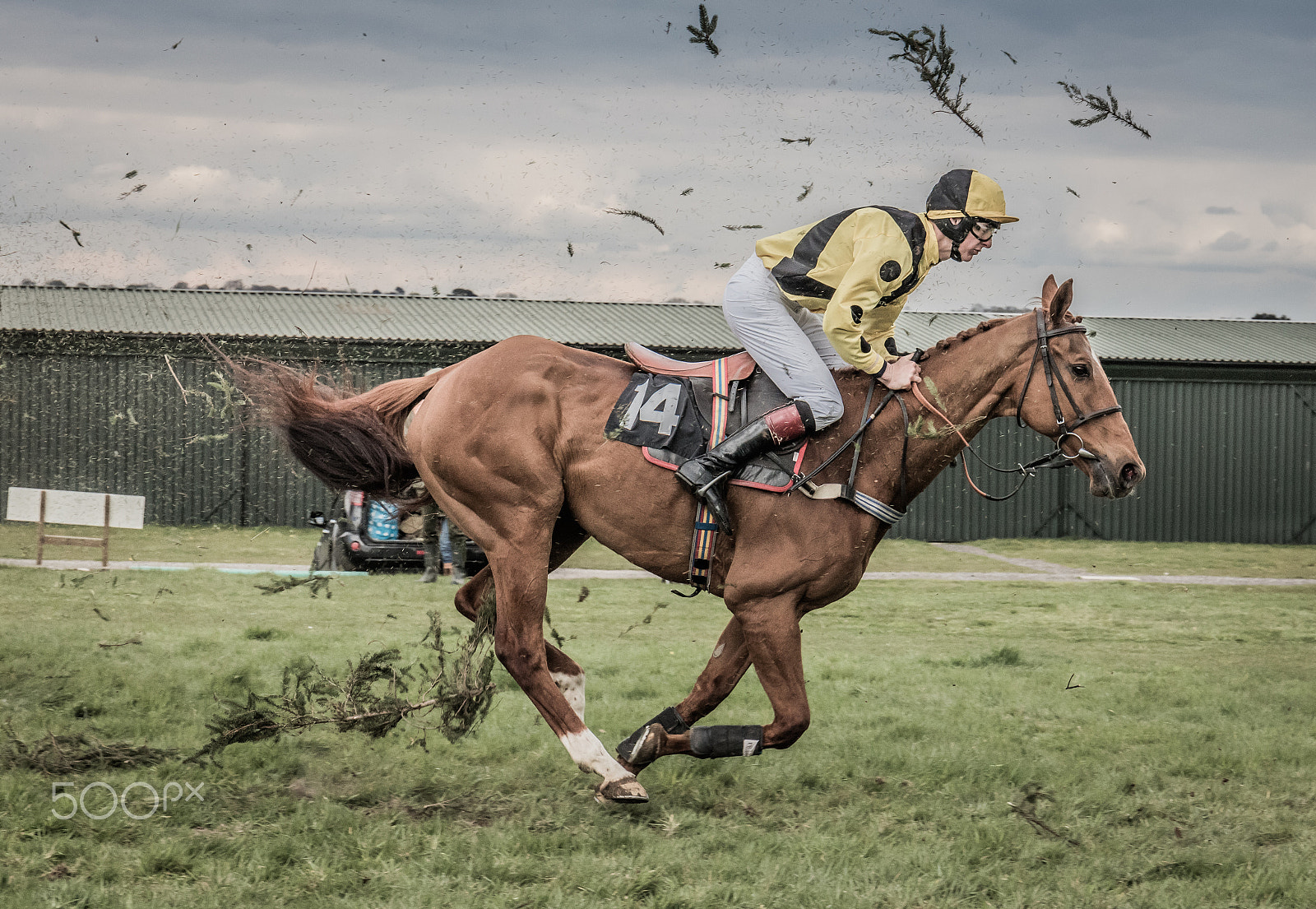 Canon EOS 5DS sample photo. Horse 2 photography