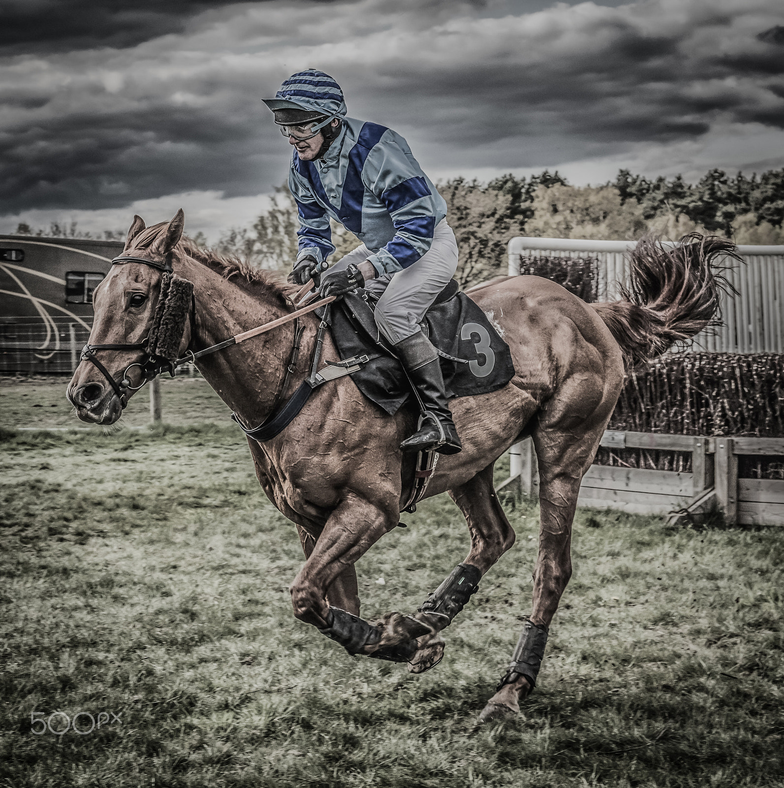 Canon EOS 5DS sample photo. Horse 3 photography
