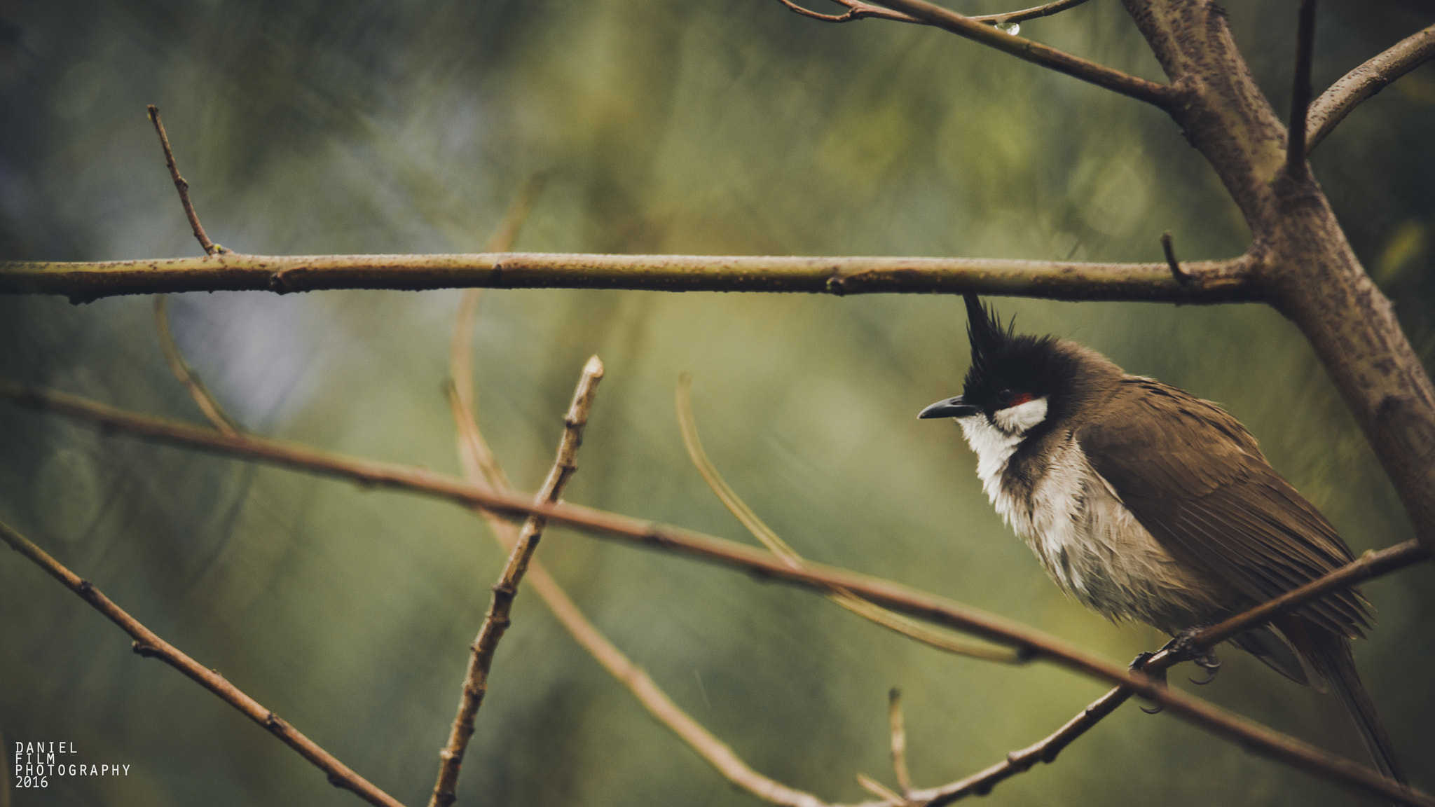 Sigma 150-500mm F5-6.3 DG OS HSM sample photo. Wait photography