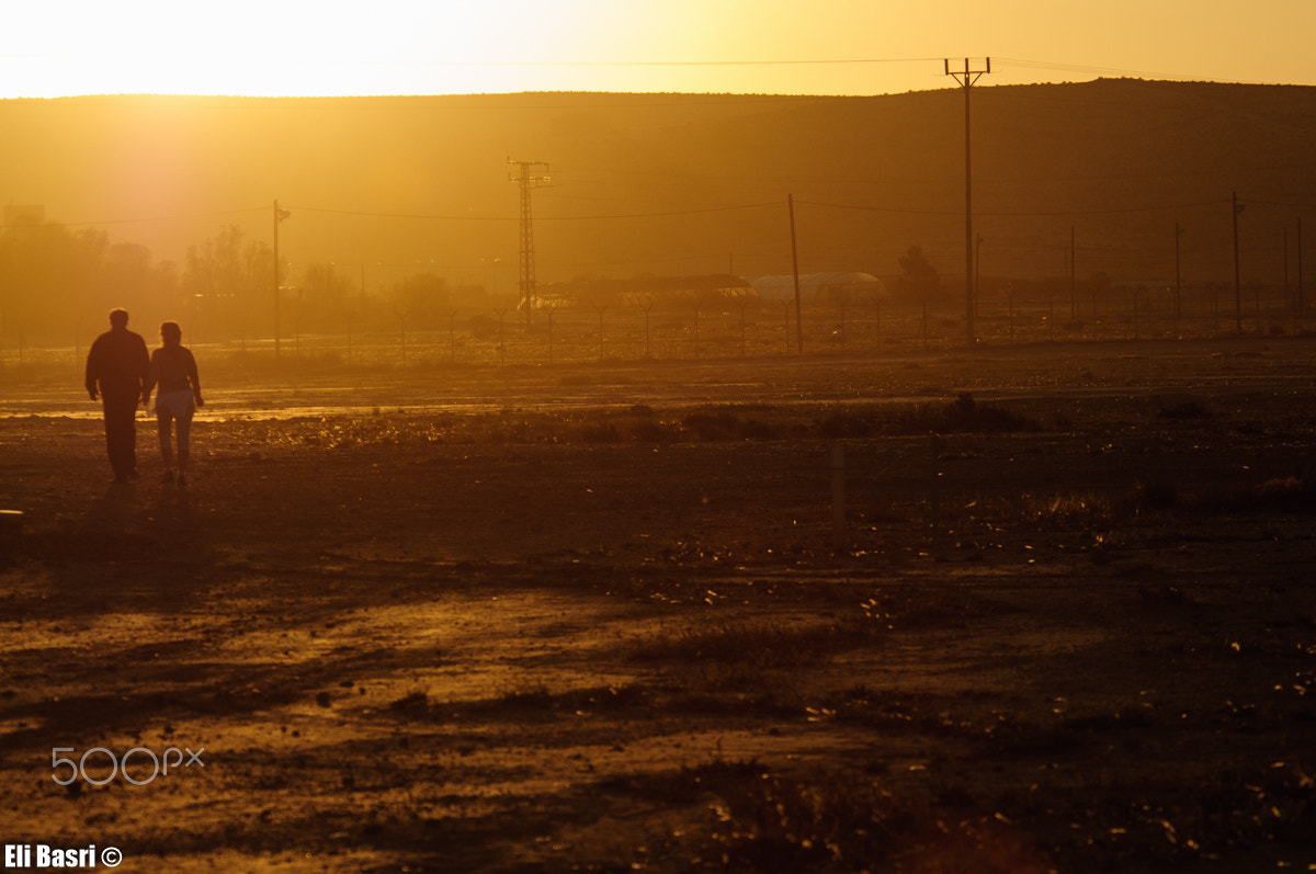 Nikon D300S sample photo