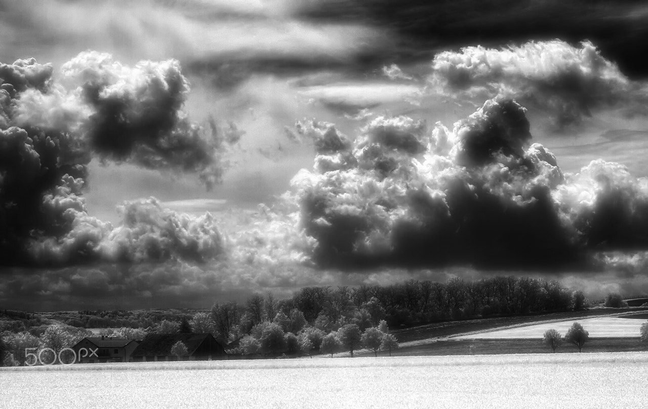 Nikon D80 + Sigma 24-70mm F2.8 EX DG Macro sample photo. Ir #2 bw photography