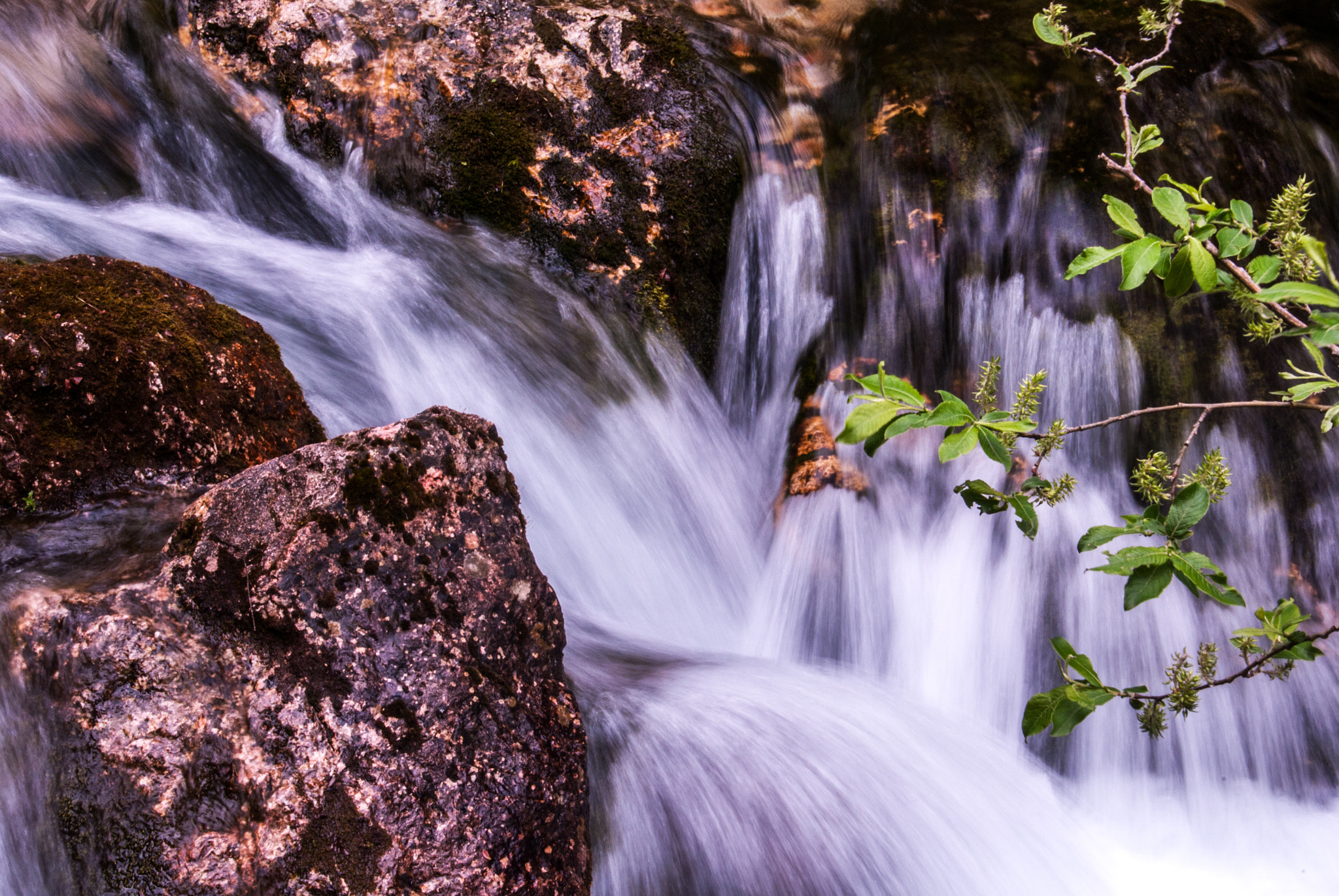 Nikon D3000 sample photo. Painting water...... photography