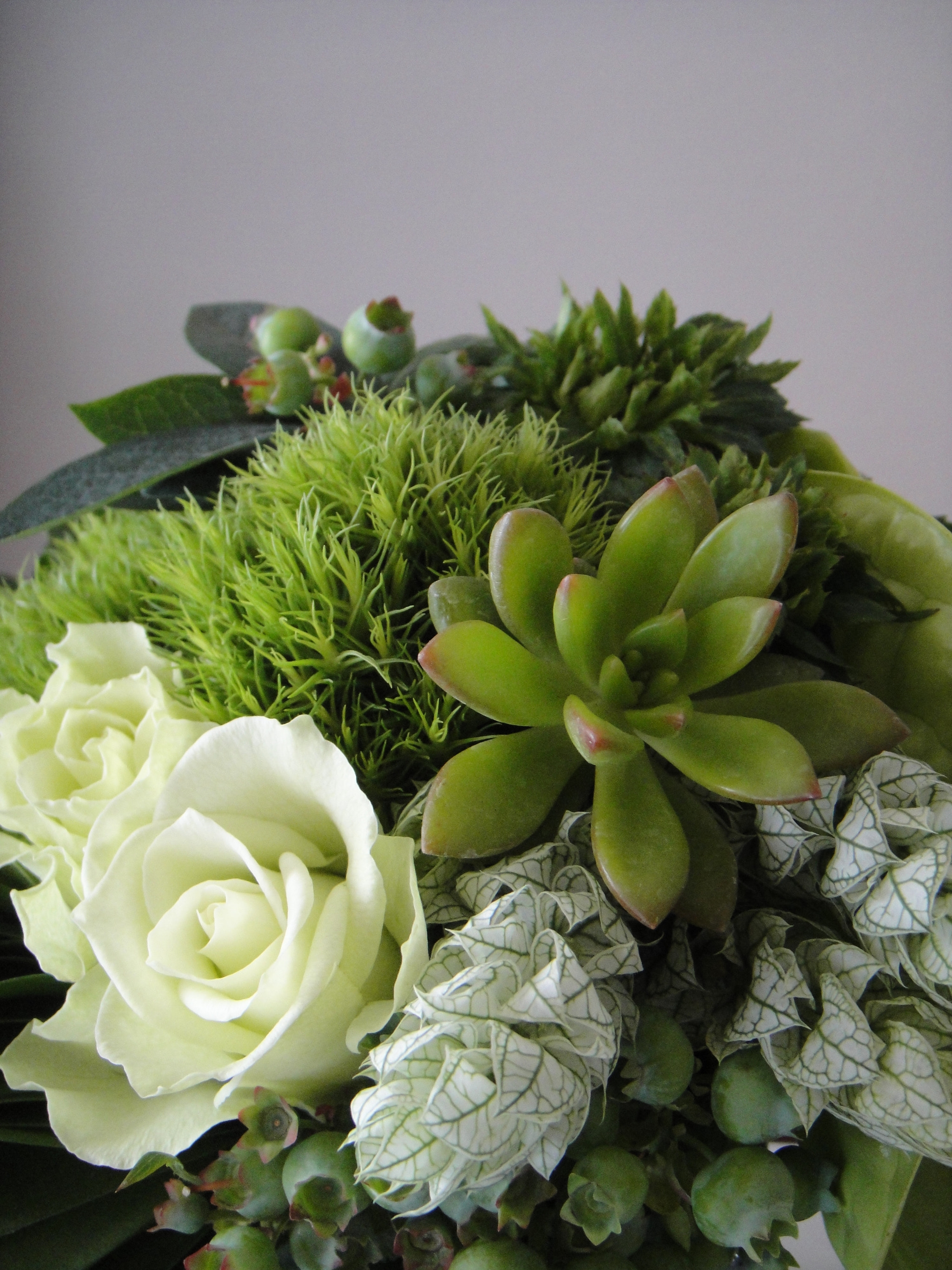 Sony DSC-T900 sample photo. Greens & flowers photography