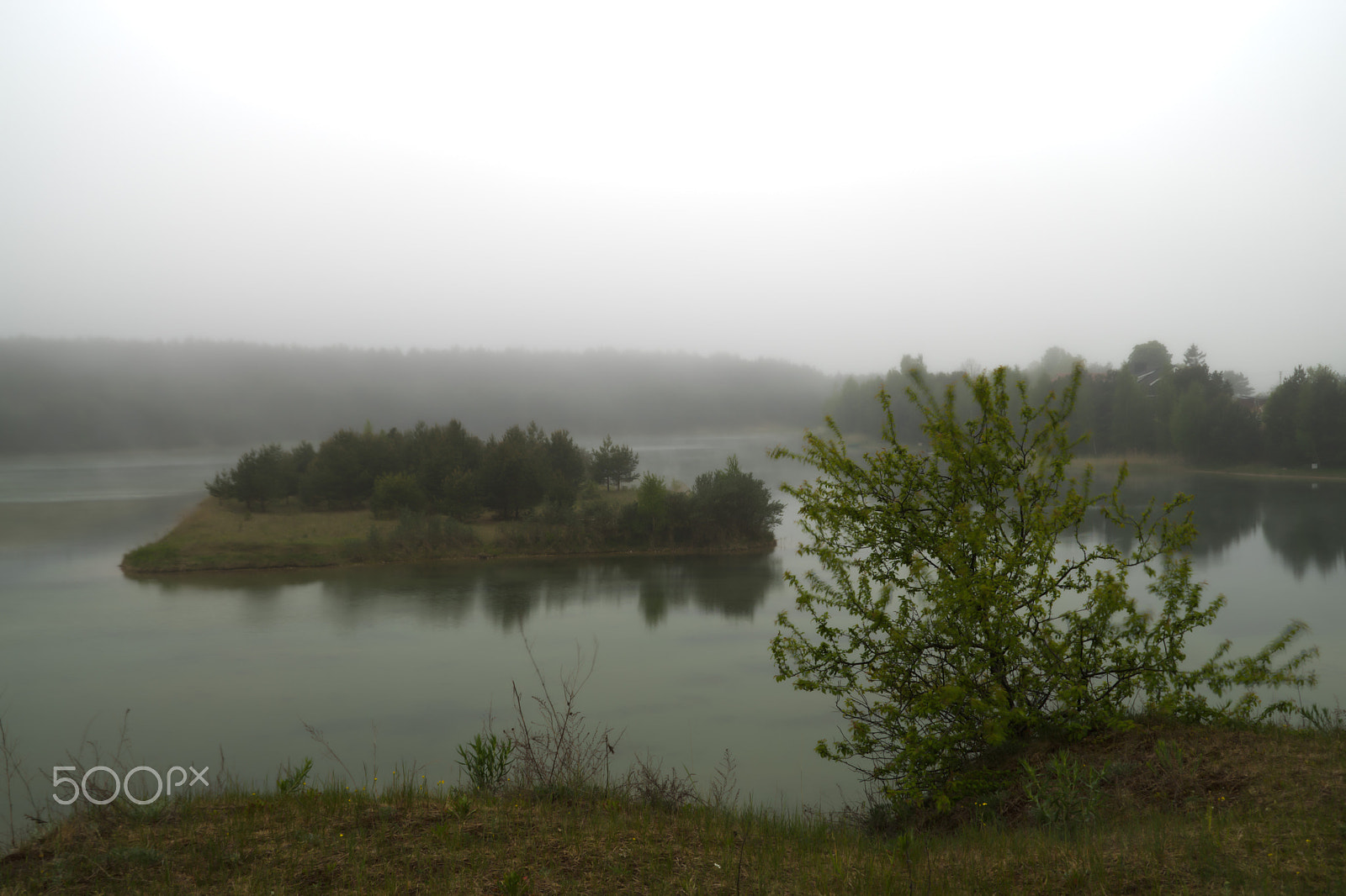 Sony DT 18-200mm F3.5-6.3 sample photo. Mist in the pond photography