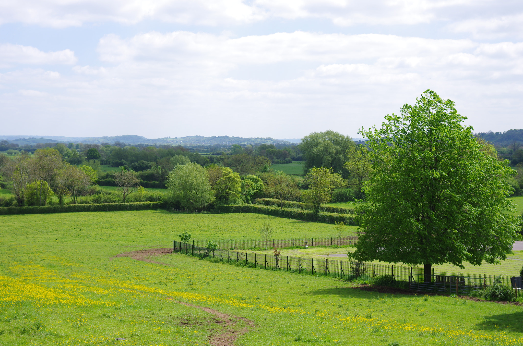 HD Pentax DA 40mm F2.8 Limited sample photo. At a gap in the hedge - 1 photography