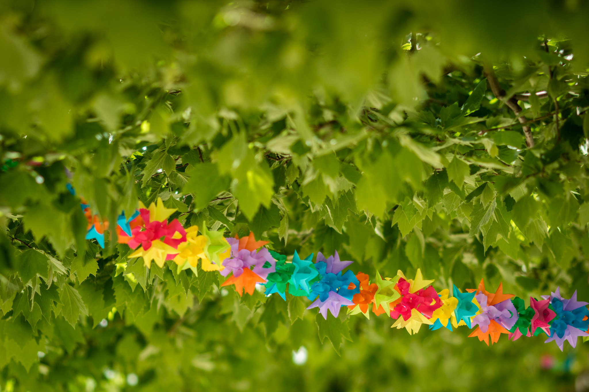 Canon EOS M3 + Canon EF 135mm F2L USM sample photo. Under the tree photography