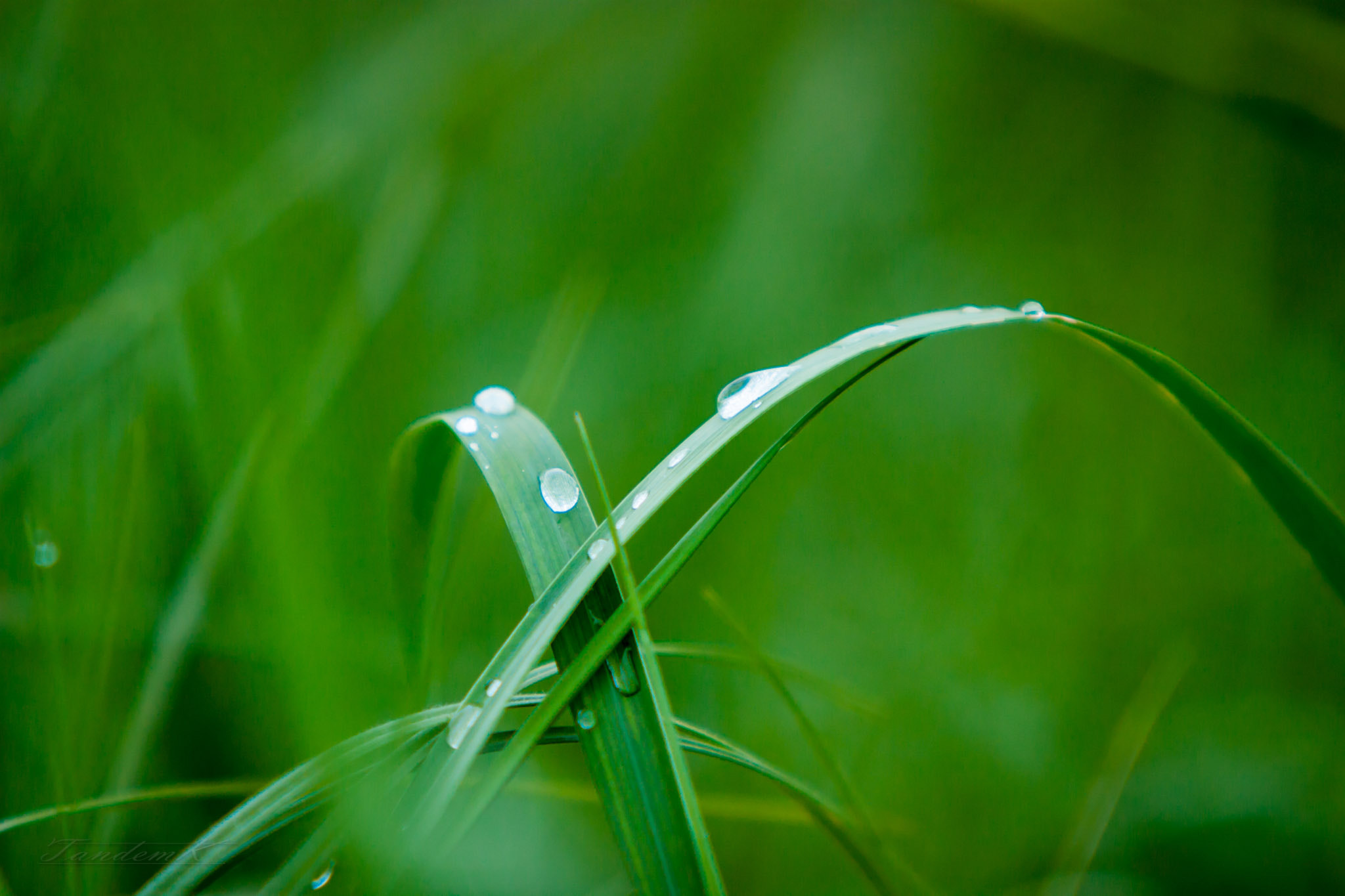 Canon EF 70-200mm F2.8L IS USM sample photo. Where is our sun? photography