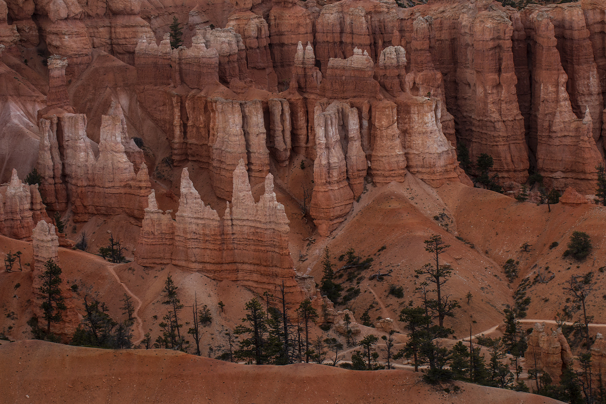 Canon EOS 70D + Sigma 50-500mm F4.5-6.3 DG OS HSM sample photo. Hoodoos at bryce canyon np photography