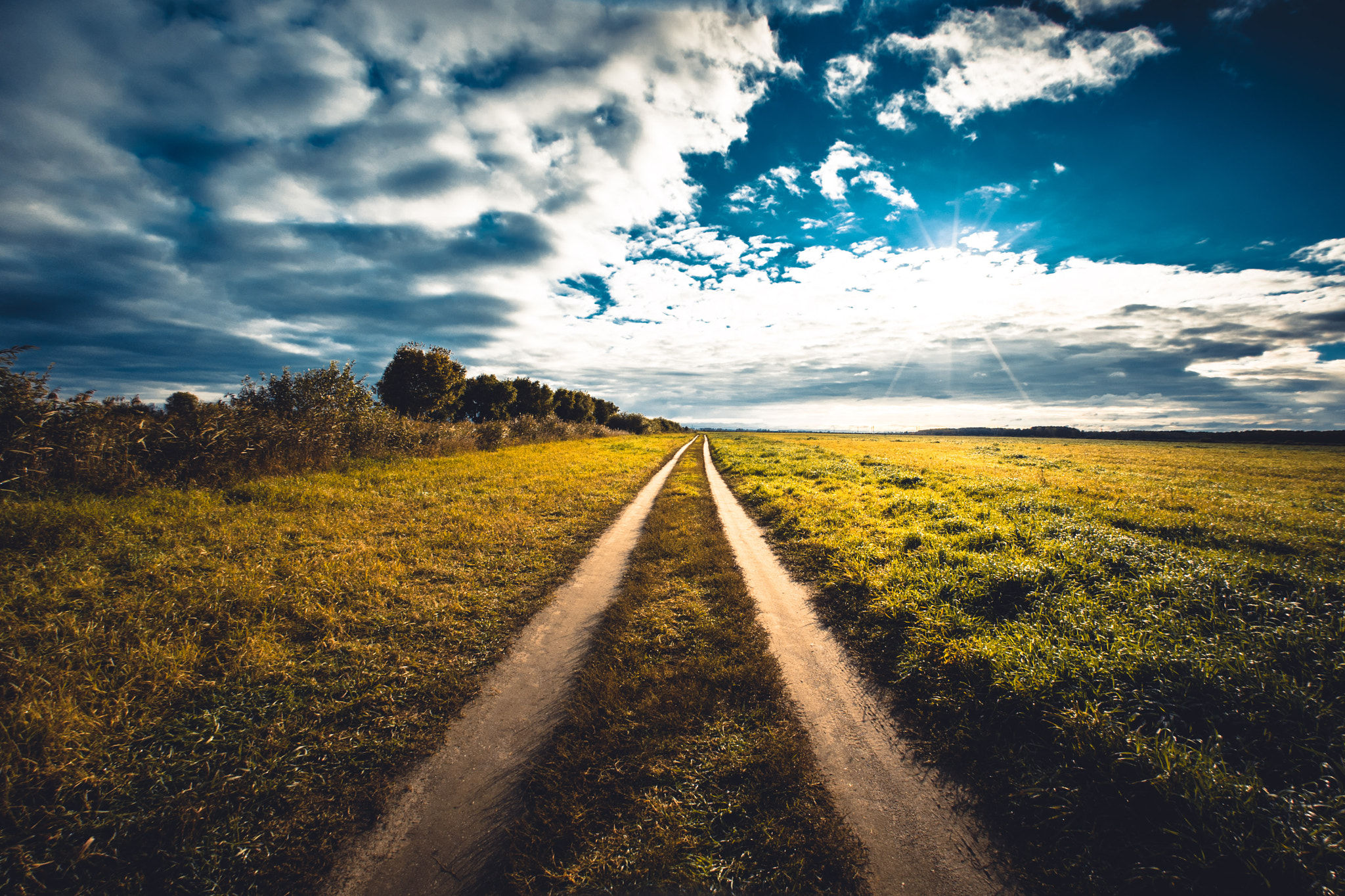 Nikon D750 + Sigma 10mm F2.8 EX DC HSM Diagonal Fisheye sample photo. Through the field photography