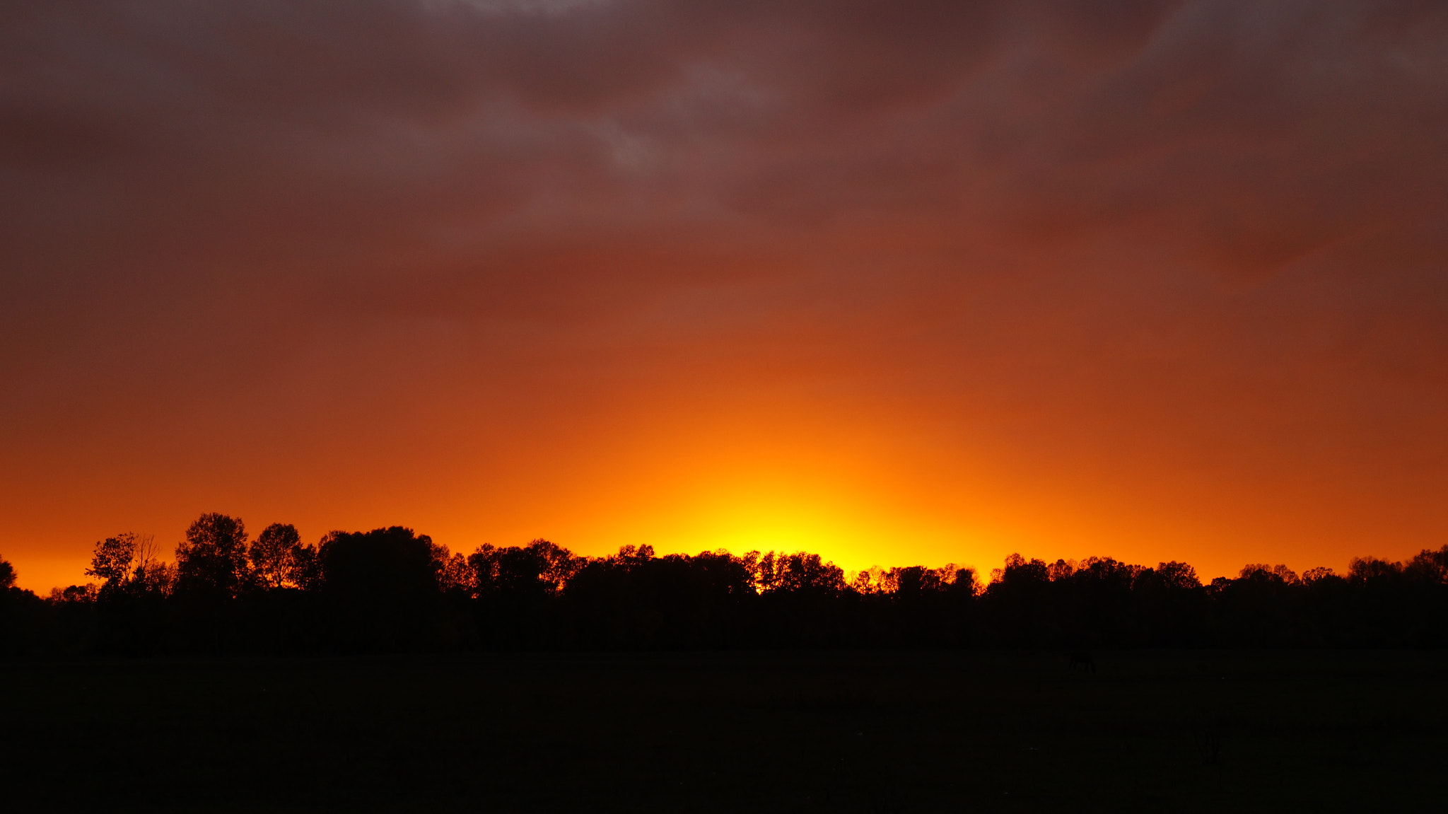 Sony E 18-55mm F3.5-5.6 OSS sample photo. Sunset photography