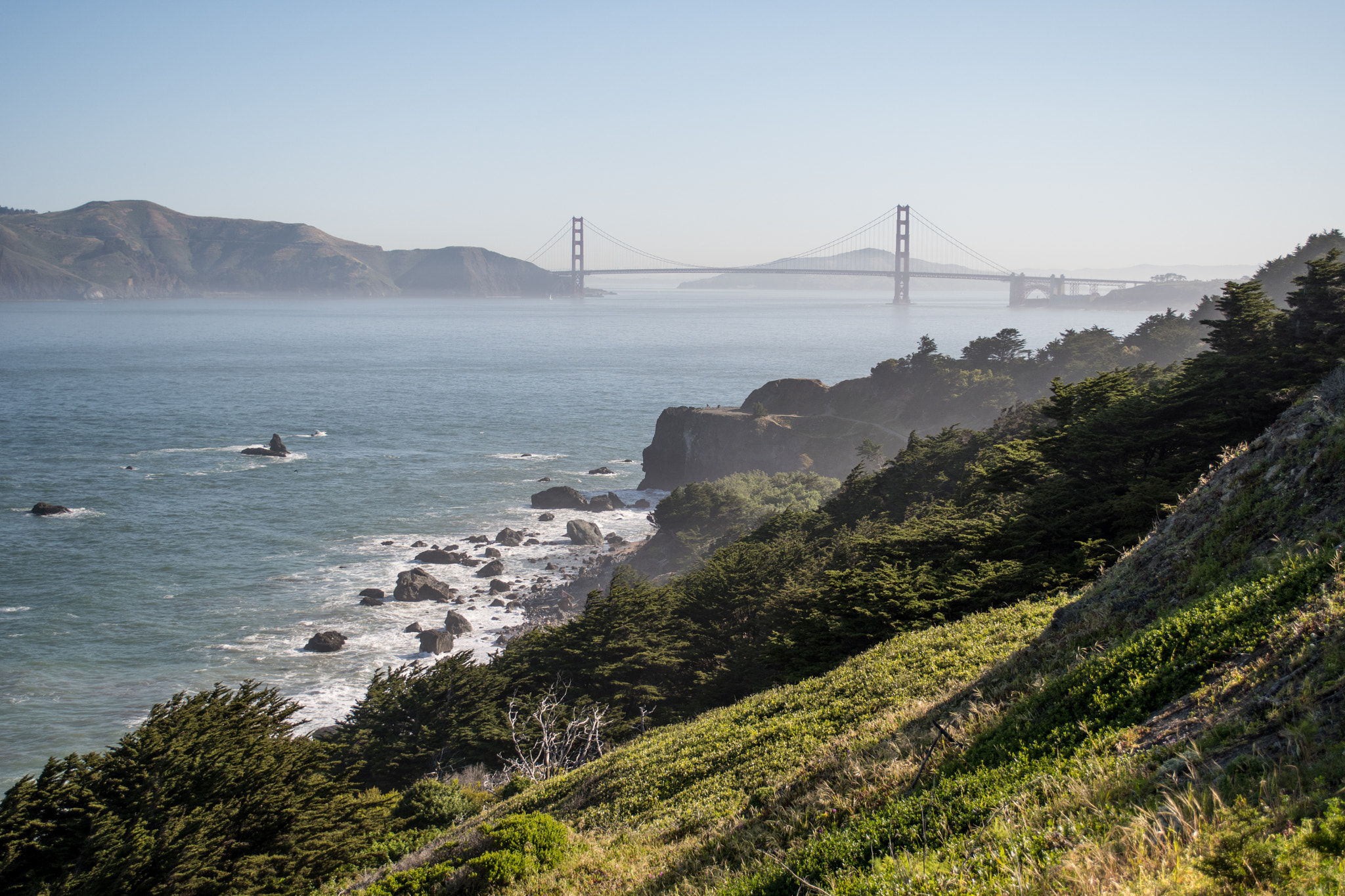 Nikon D500 sample photo. San francisco photography