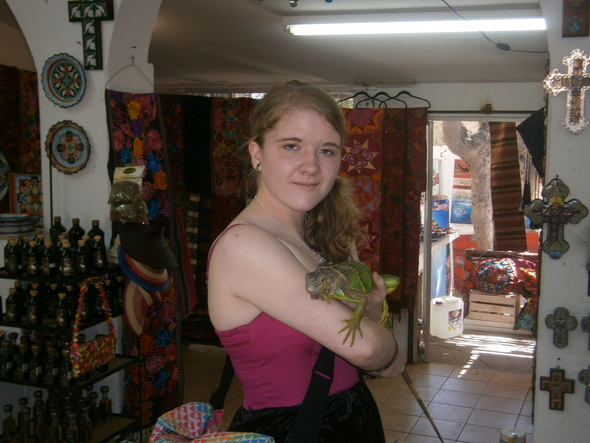 Olympus VG120,D705 sample photo. Iguana lover photography