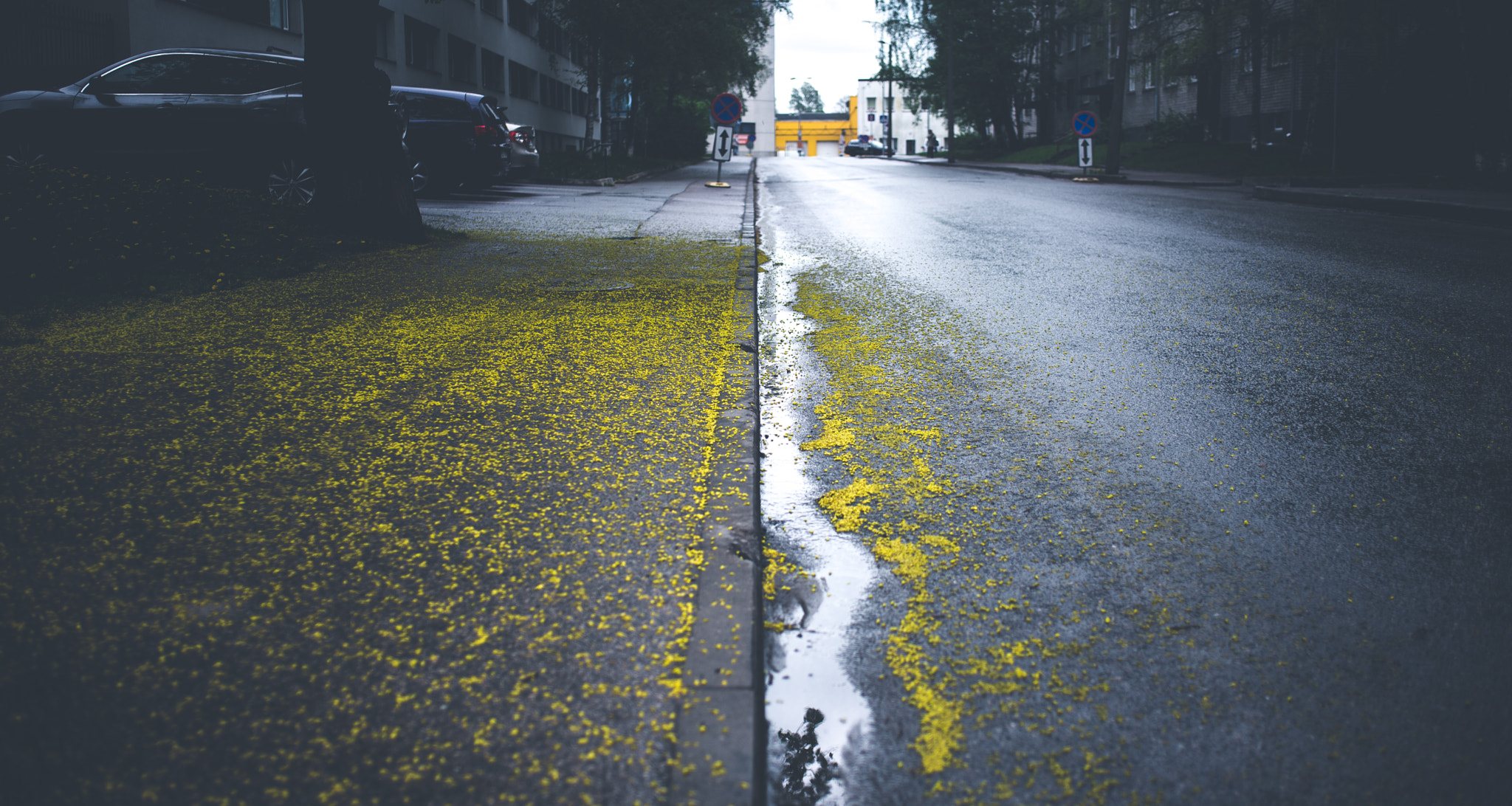 Nikon D610 + AF Zoom-Nikkor 35-70mm f/2.8D sample photo. Tallinn in spring. photography