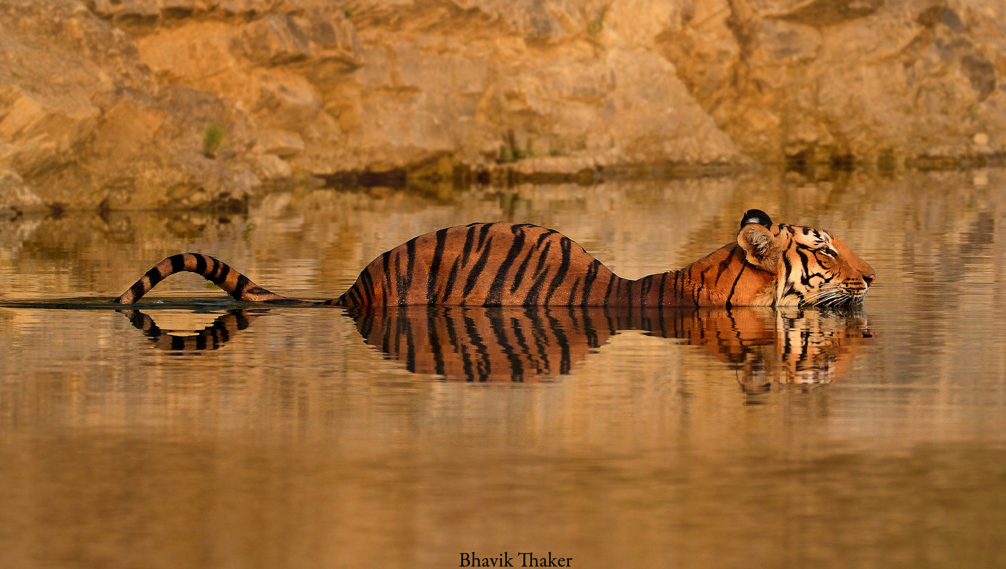 AF Zoom-Nikkor 35-80mm f/4-5.6D sample photo. Amphibious photography