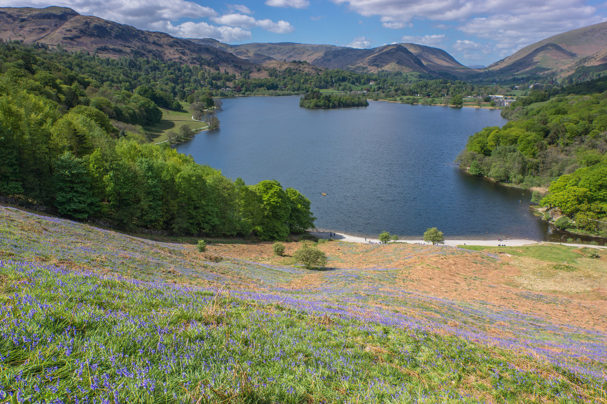 16-35mm F4 ZA OSS sample photo. Bluebells at grasmere photography