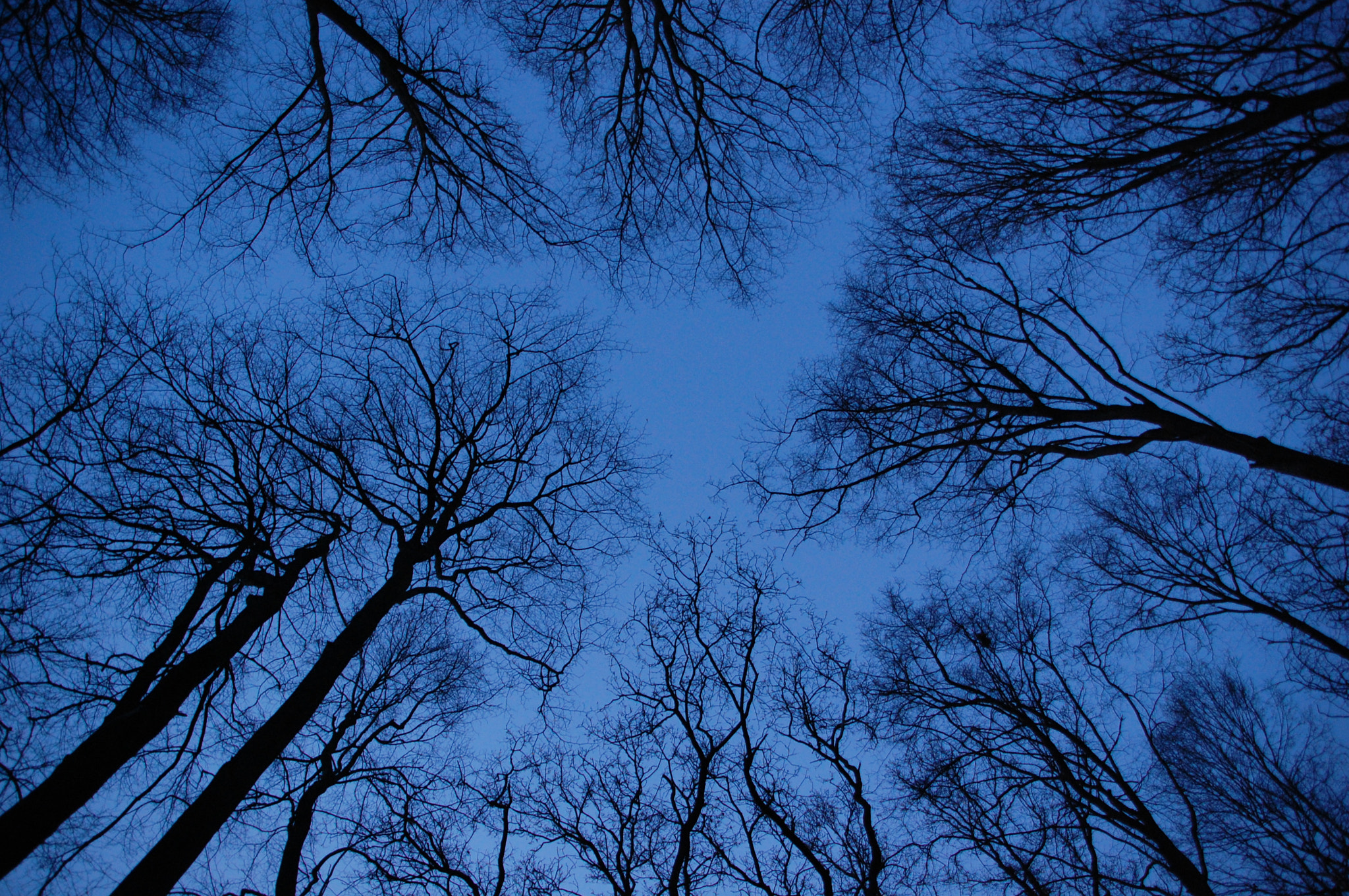 Nikon D40 + Sigma 18-200mm F3.5-6.3 DC sample photo. The end of winter photography