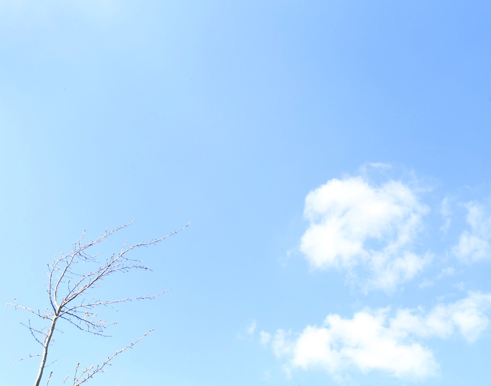 Canon EF 17-40mm F4L USM sample photo. Breathe. photography