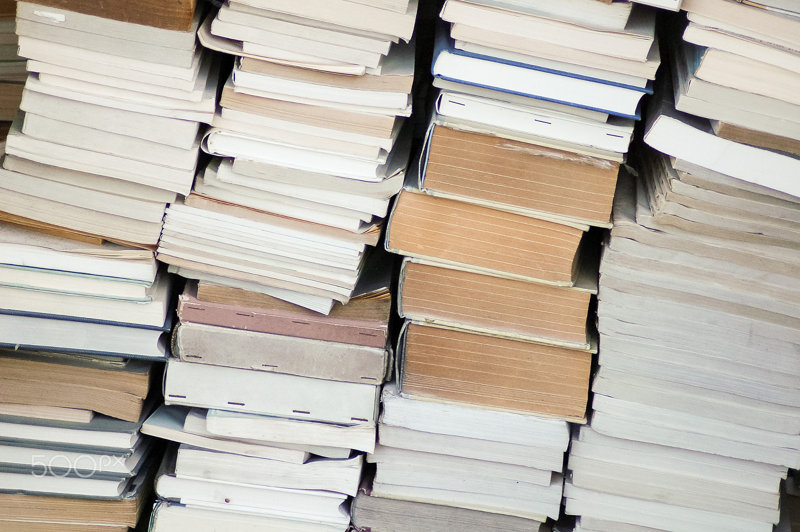 Nikon D50 sample photo. Books photography