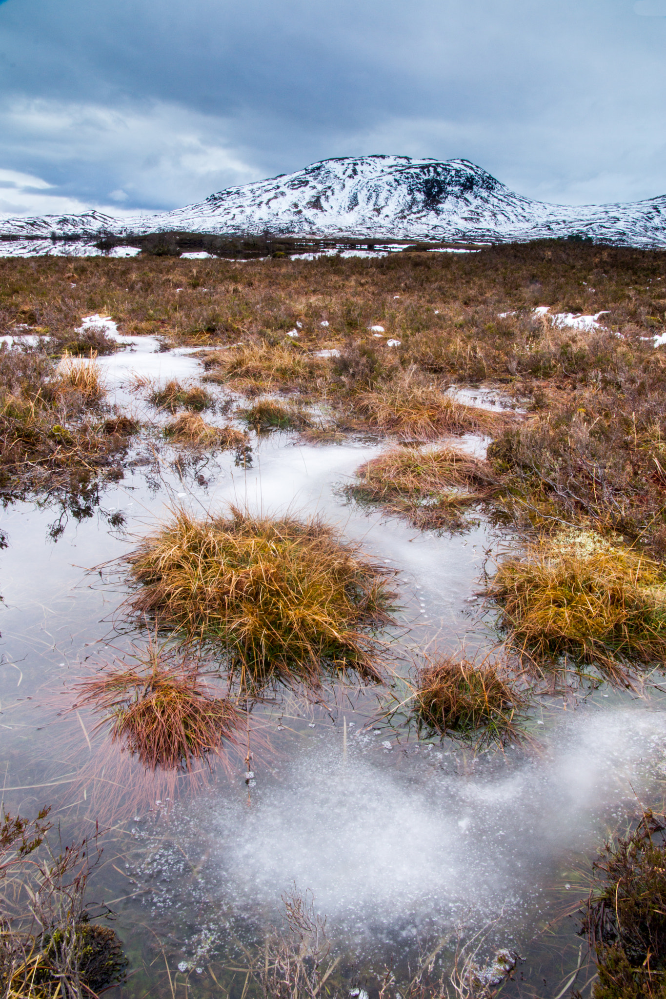 Sony SLT-A65 (SLT-A65V) + Sigma 17-70mm F2.8-4.5 (D) sample photo. Frozen photography