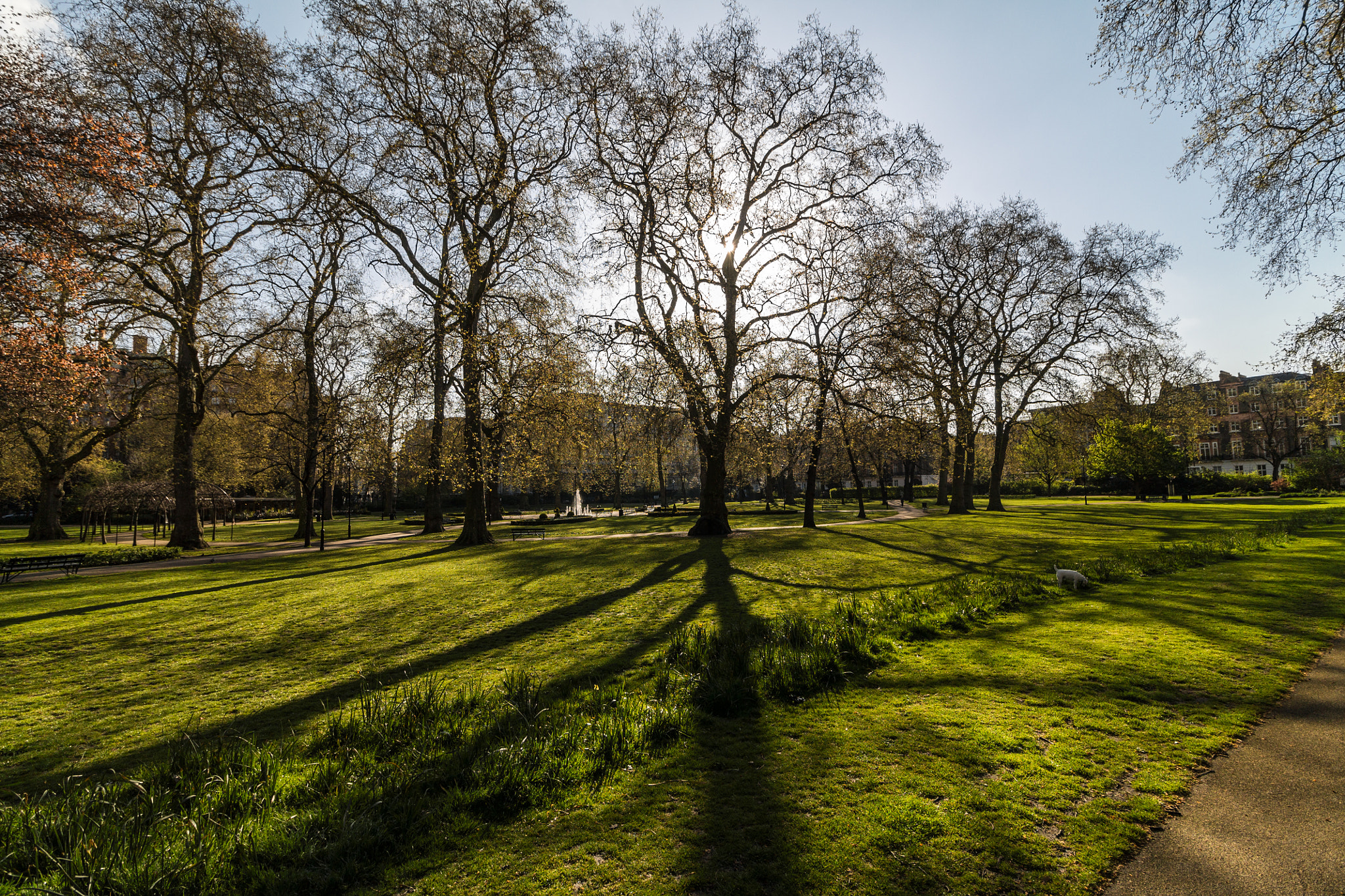 Canon EF-S 10-18mm F4.5–5.6 IS STM sample photo. Russel square, london photography