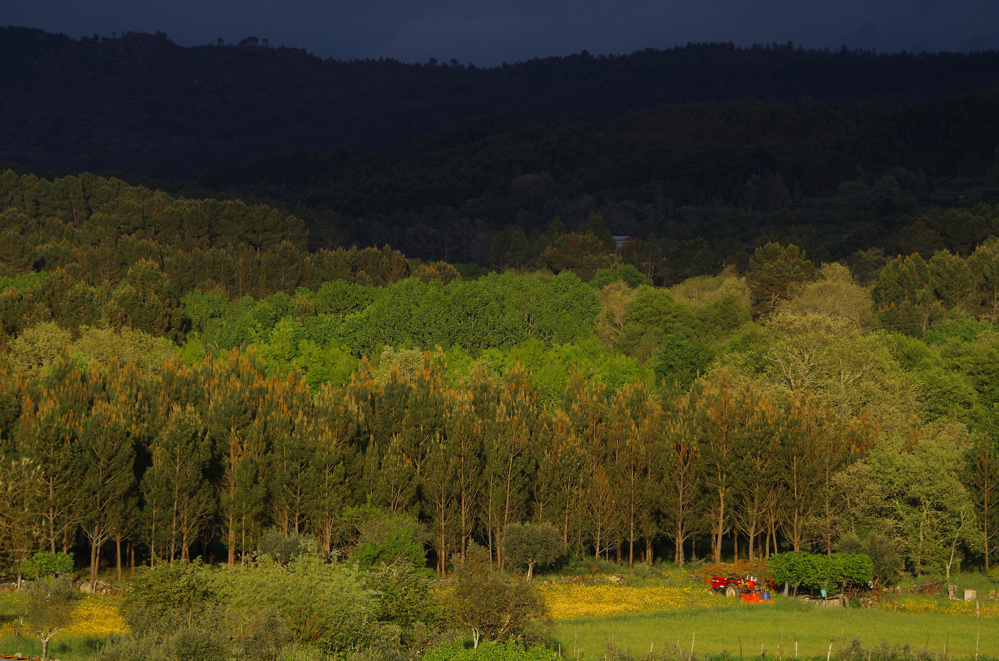 HD Pentax DA 55-300mm F4.0-5.8 ED WR sample photo. Here and now photography