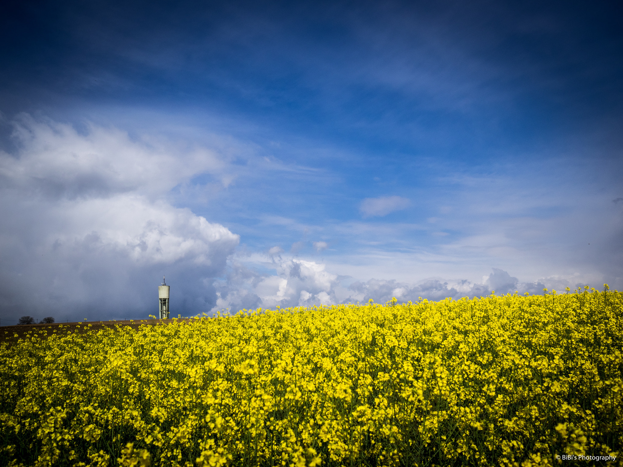 Olympus OM-D E-M1 sample photo. Clouds photography