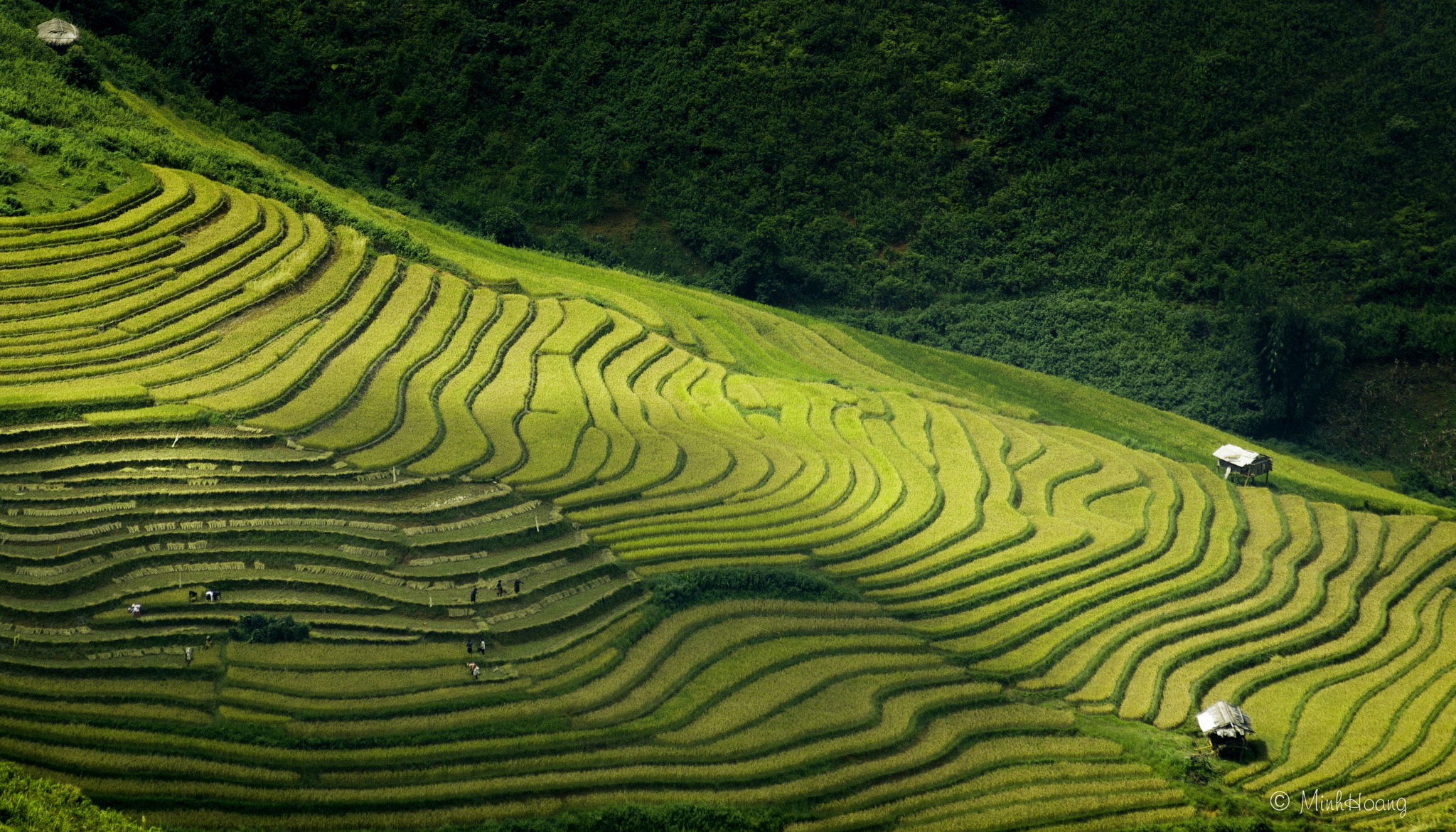 smc PENTAX-F 70-210mm F4-5.6 sample photo. Harvest season photography