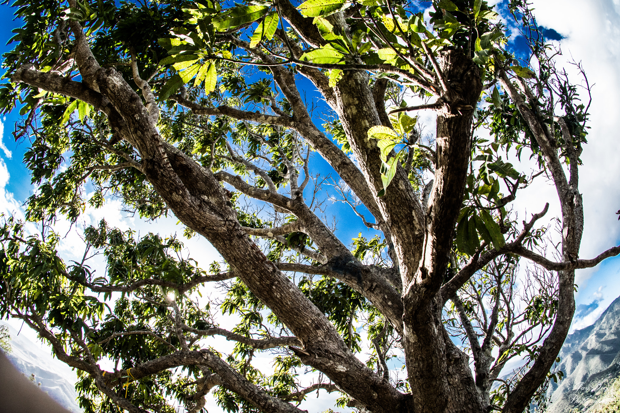 Sony ILCA-77M2 + Sigma 10mm F2.8 EX DC HSM Diagonal Fisheye sample photo. Ways of life photography