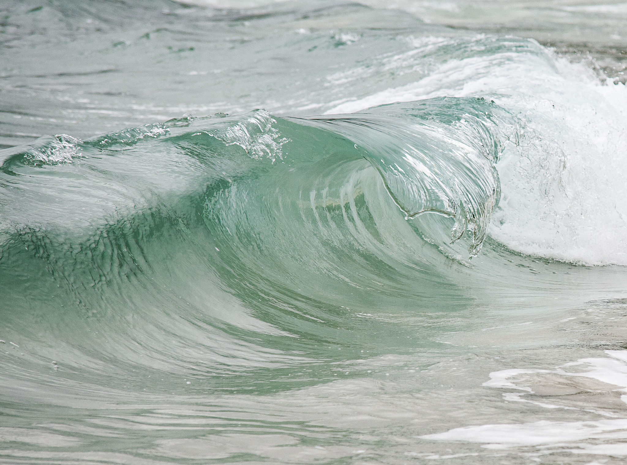 Sigma 70-200mm F2.8 EX DG OS HSM sample photo. Olas photography