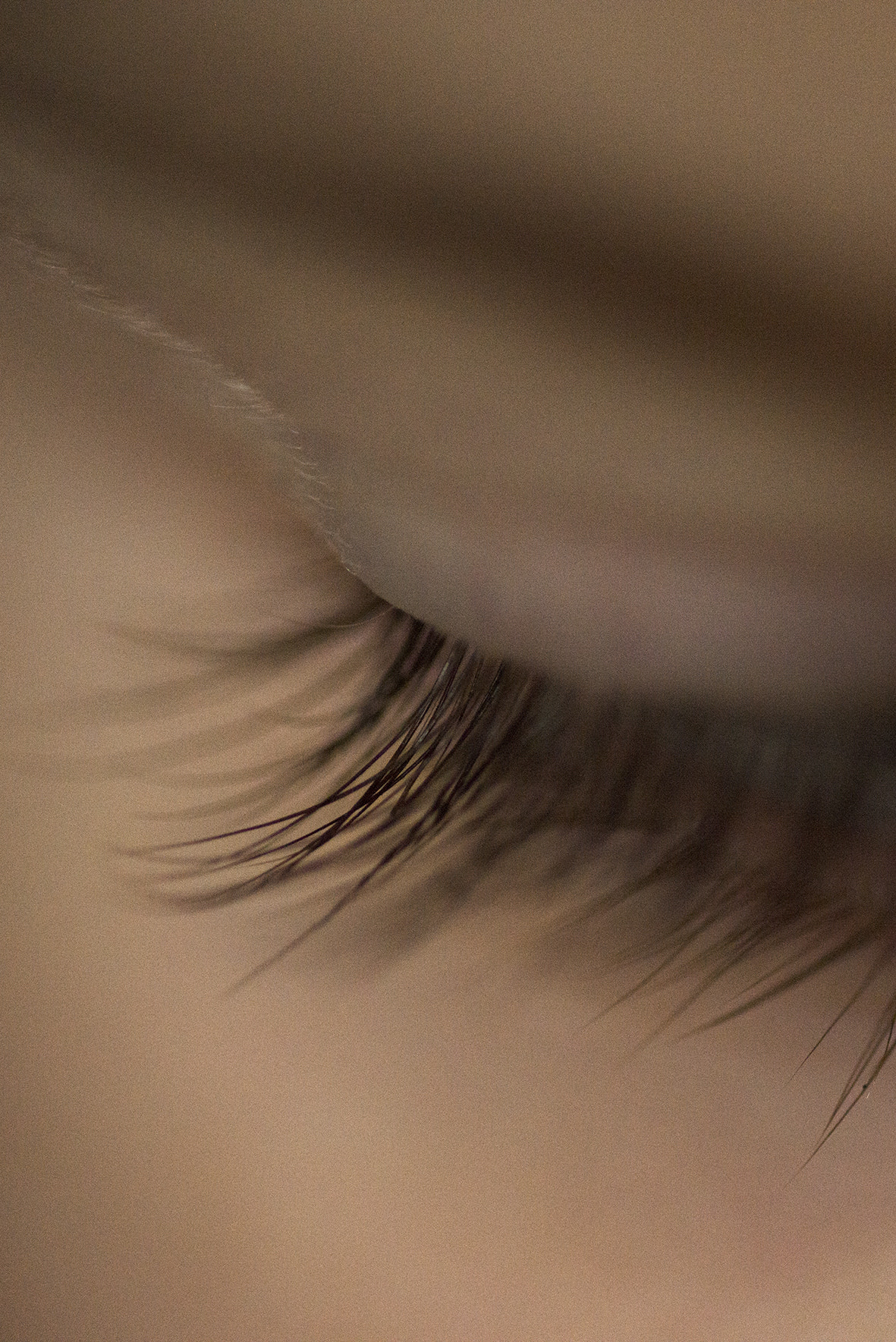 Nikon D800E sample photo. Cil a cil psd photography