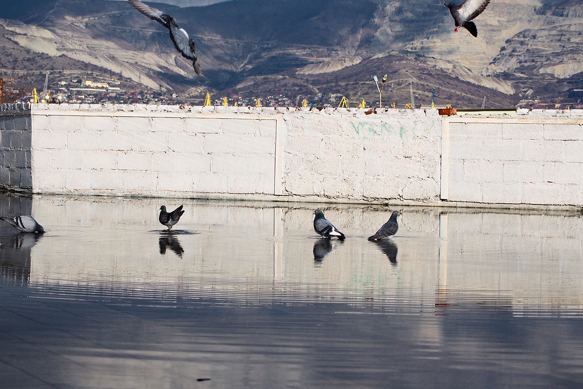 Olympus PEN E-PM2 sample photo. *** photography