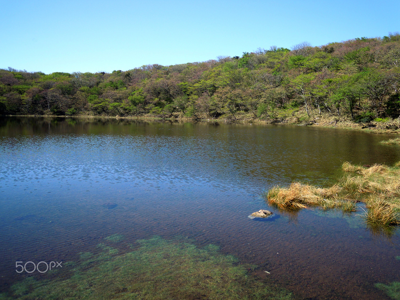 Nikon Coolpix S5100 sample photo. Hallasan national park photography