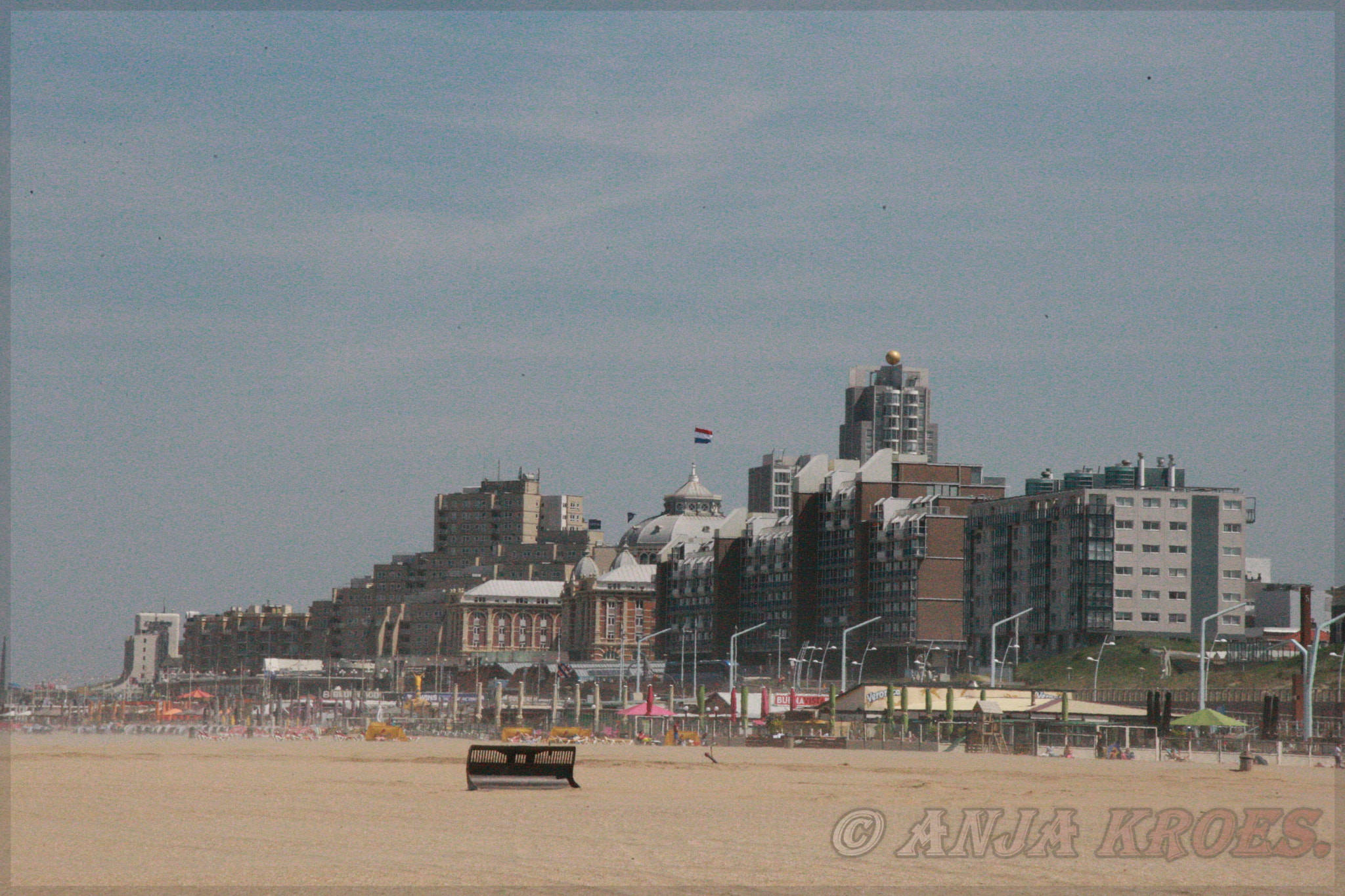Canon EOS-1D Mark III sample photo