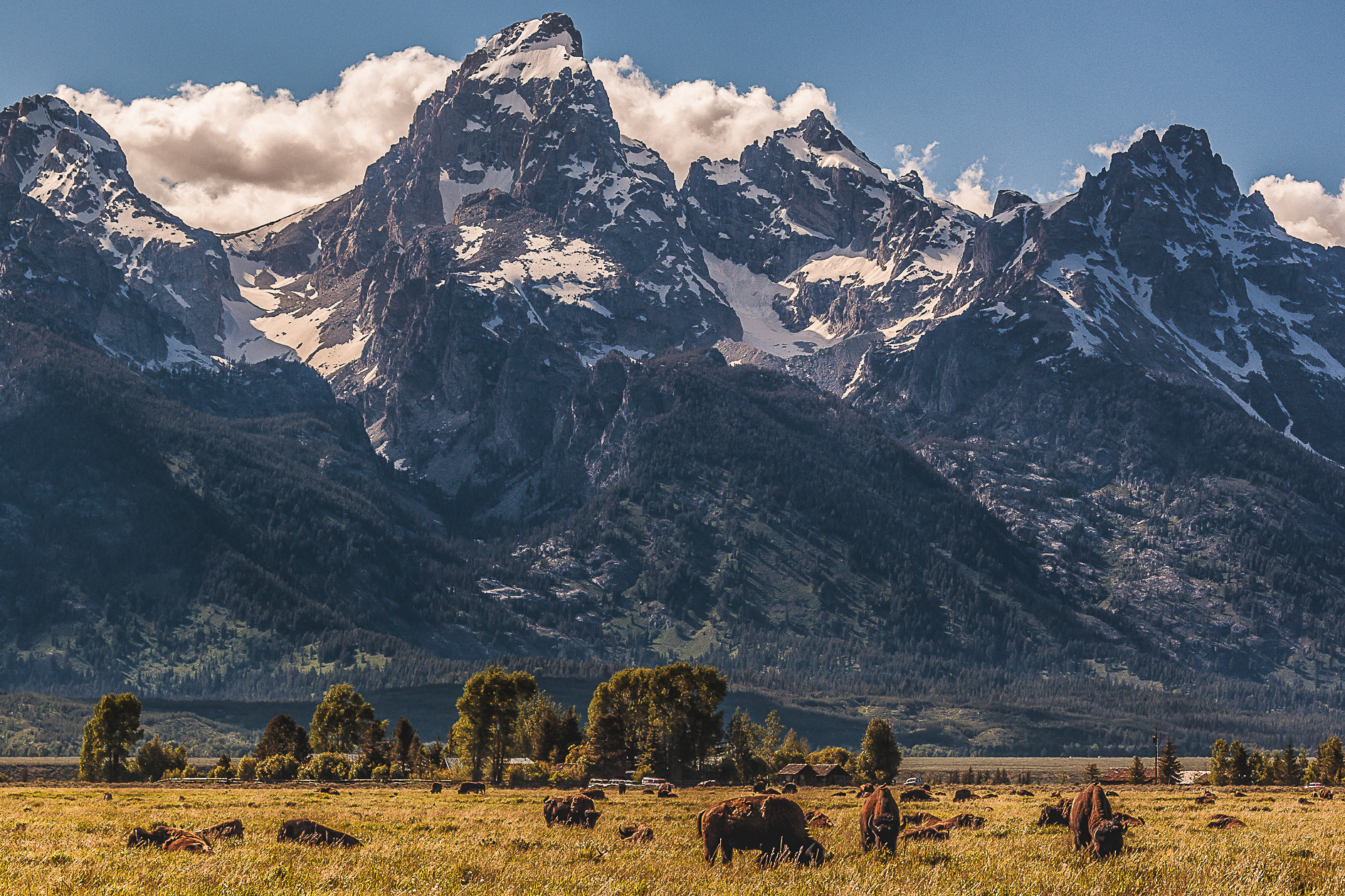Sigma 50-200mm F4-5.6 DC OS HSM sample photo. Wild wyoming photography