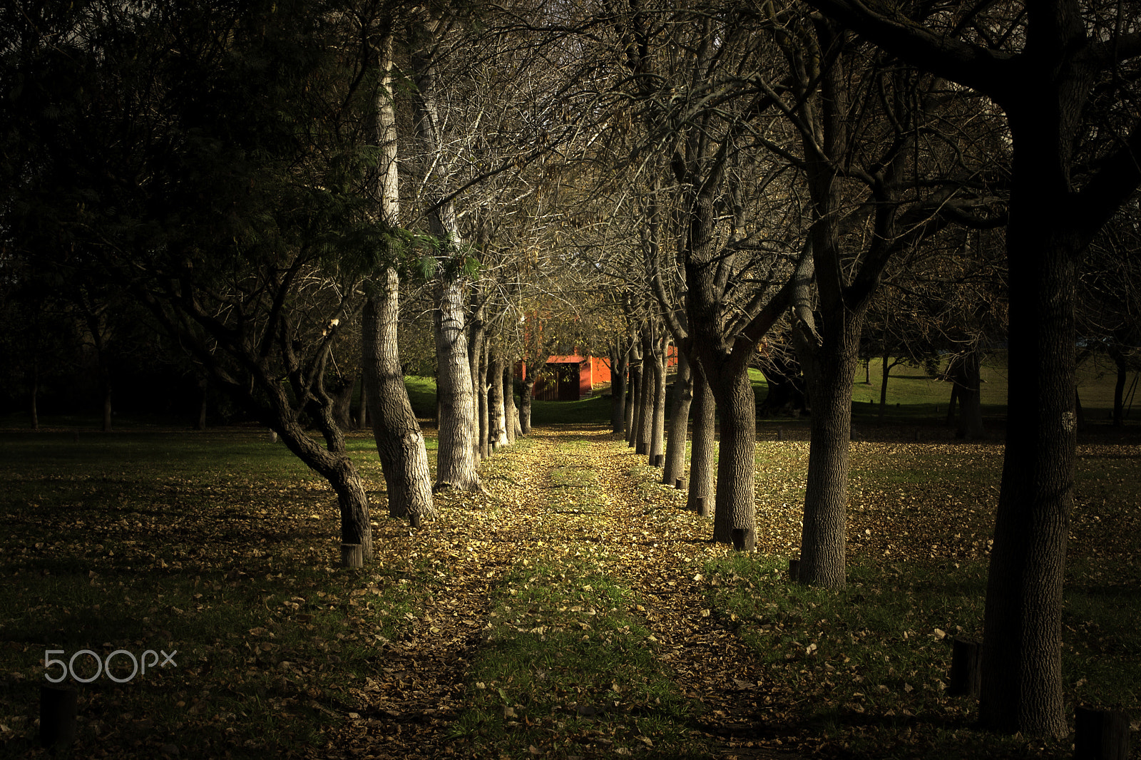 Canon EOS 400D (EOS Digital Rebel XTi / EOS Kiss Digital X) sample photo. Path ... photography